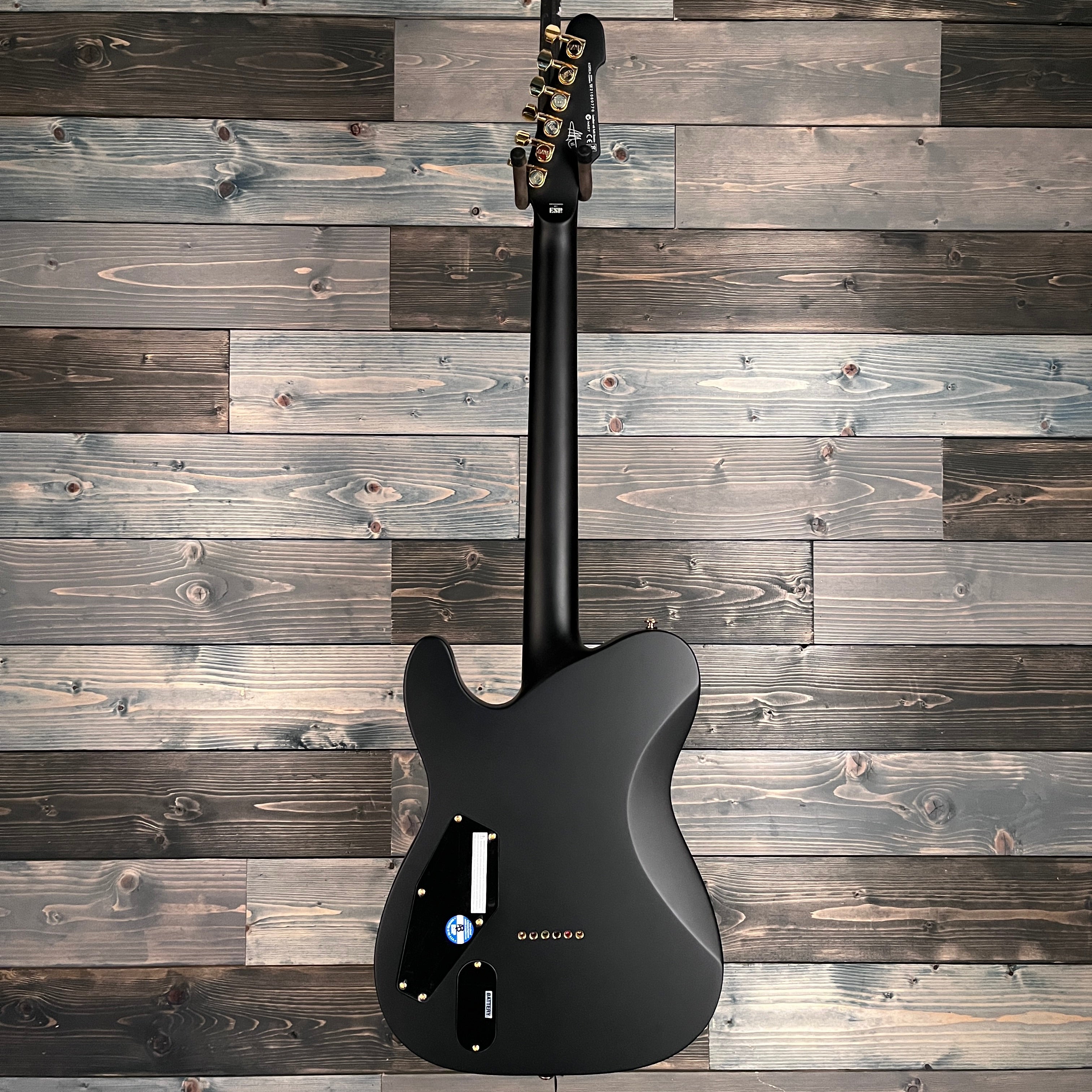 ESP LTD AA-1 Alan Ashby Signature Series Electric Guitar