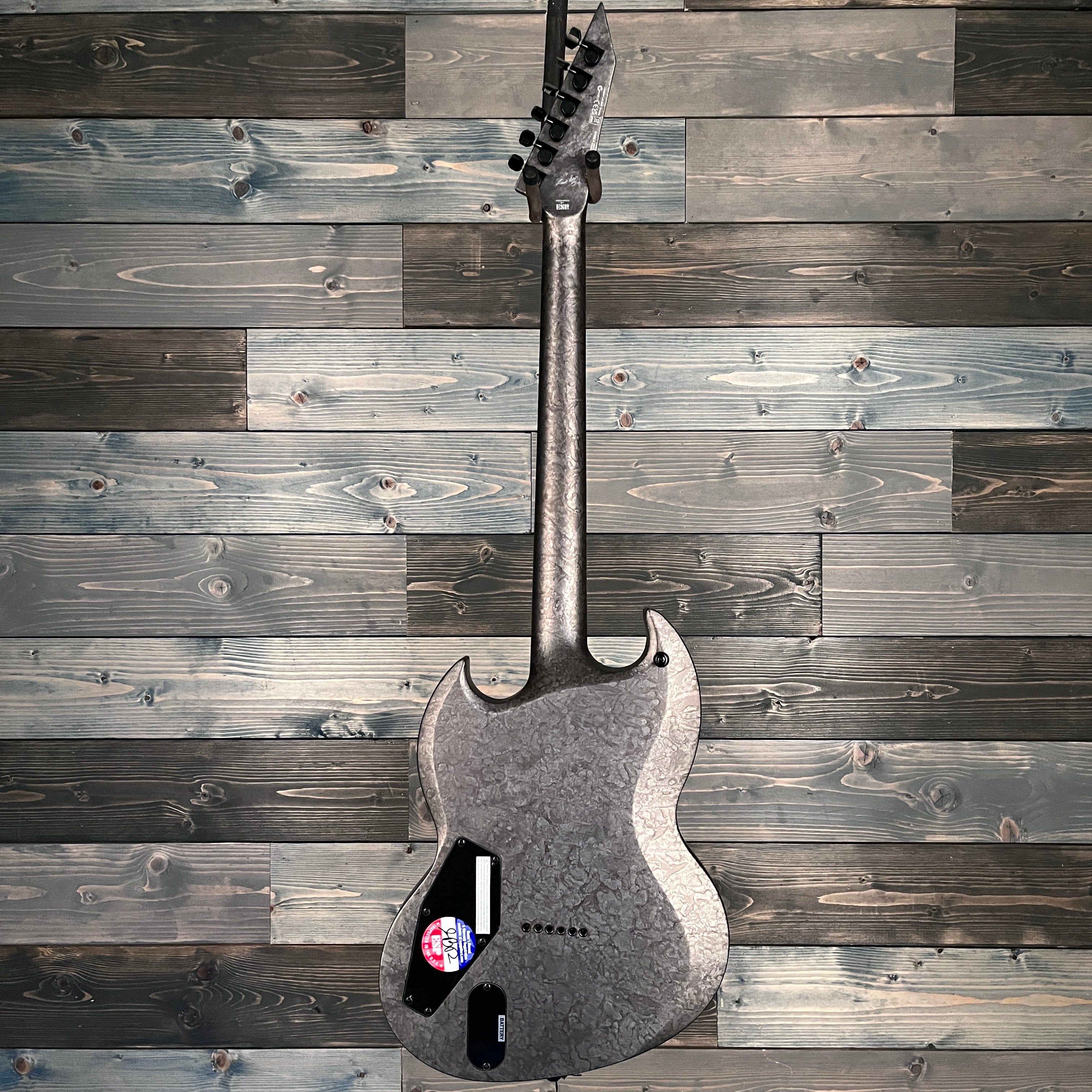 ESP LTD Reba Meyers RM-600 Electric w/Case- Black Marble Satin