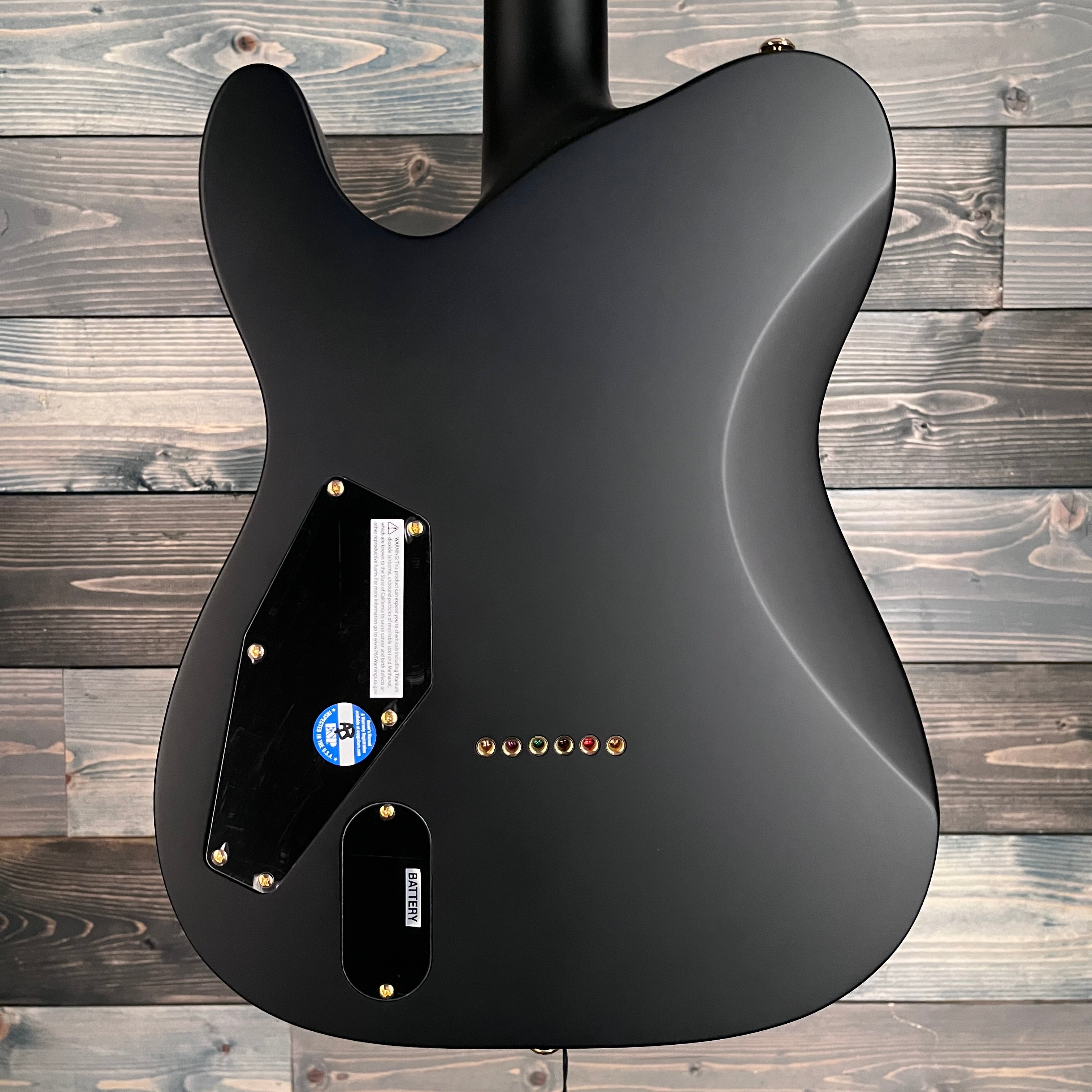 ESP LTD AA-1 Alan Ashby Signature Series Electric Guitar