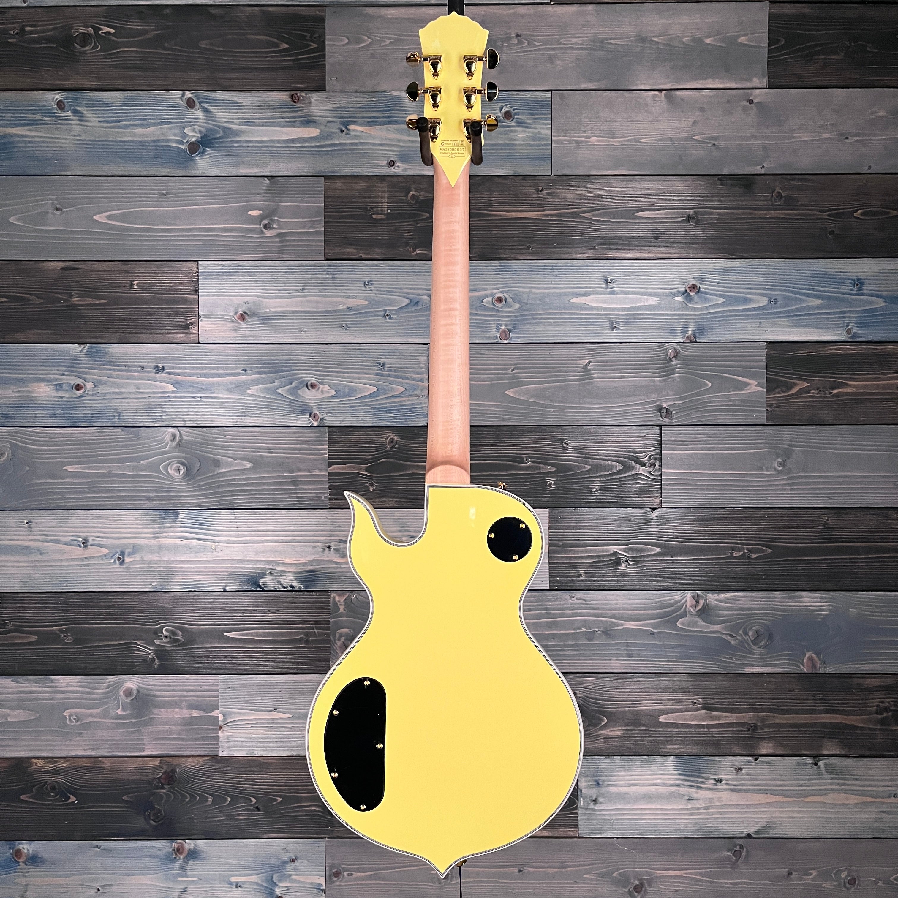 Wylde Audio Odin Grail Electric Guitar Genesis Bullseye