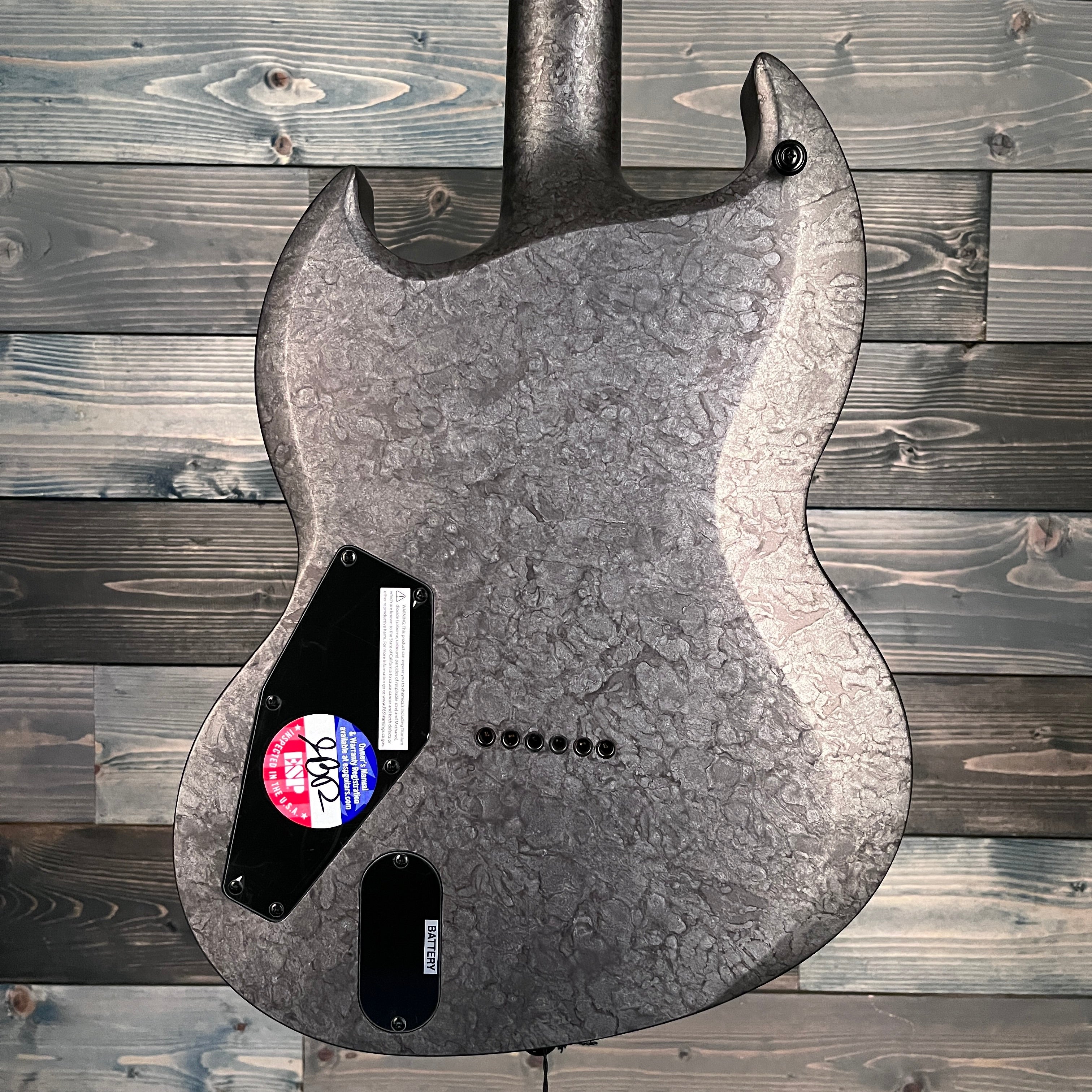 ESP LTD Reba Meyers RM-600 Electric w/Case- Black Marble Satin