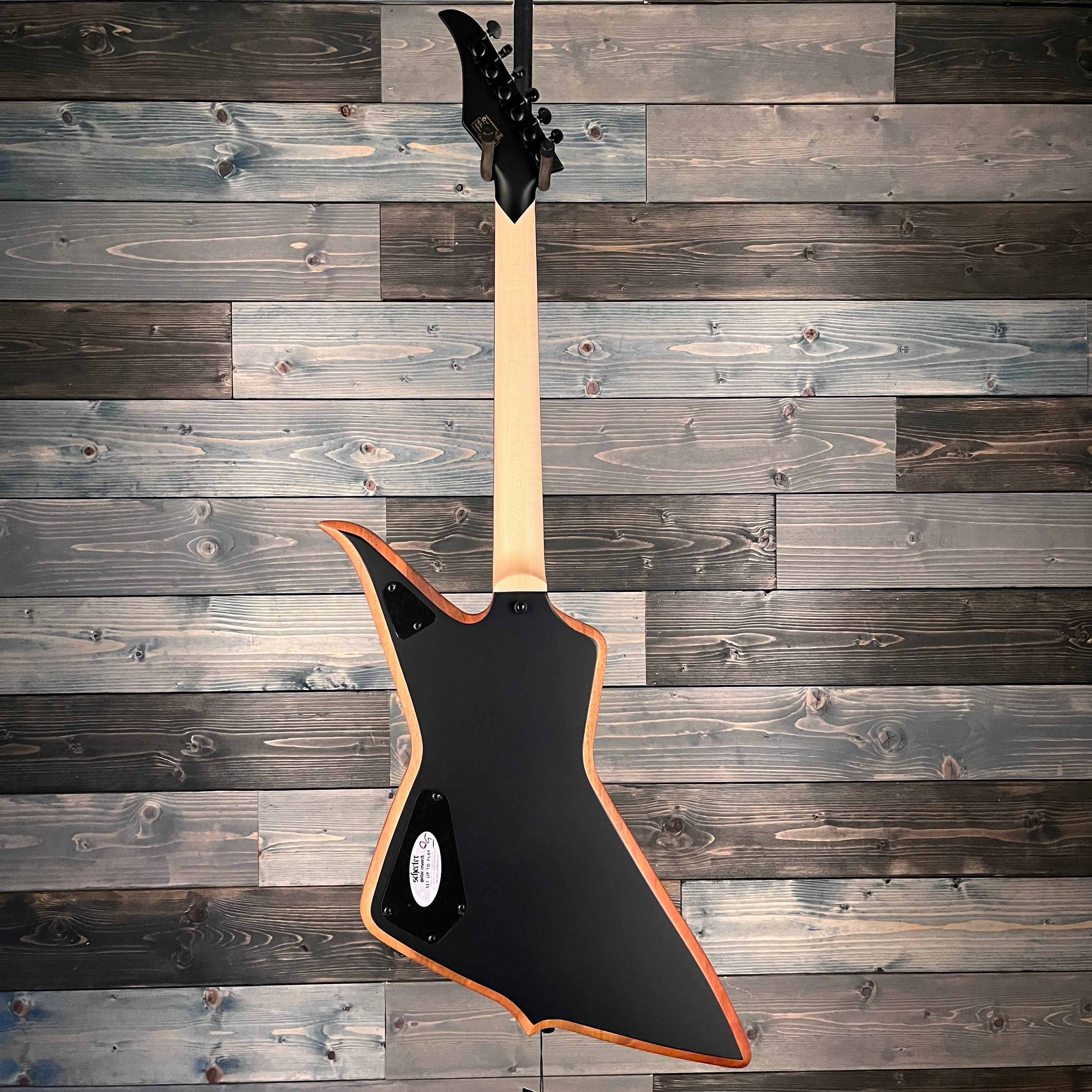 Wylde Audio 4520 Blood Eagle Electric Guitar - Mahogany Blackout