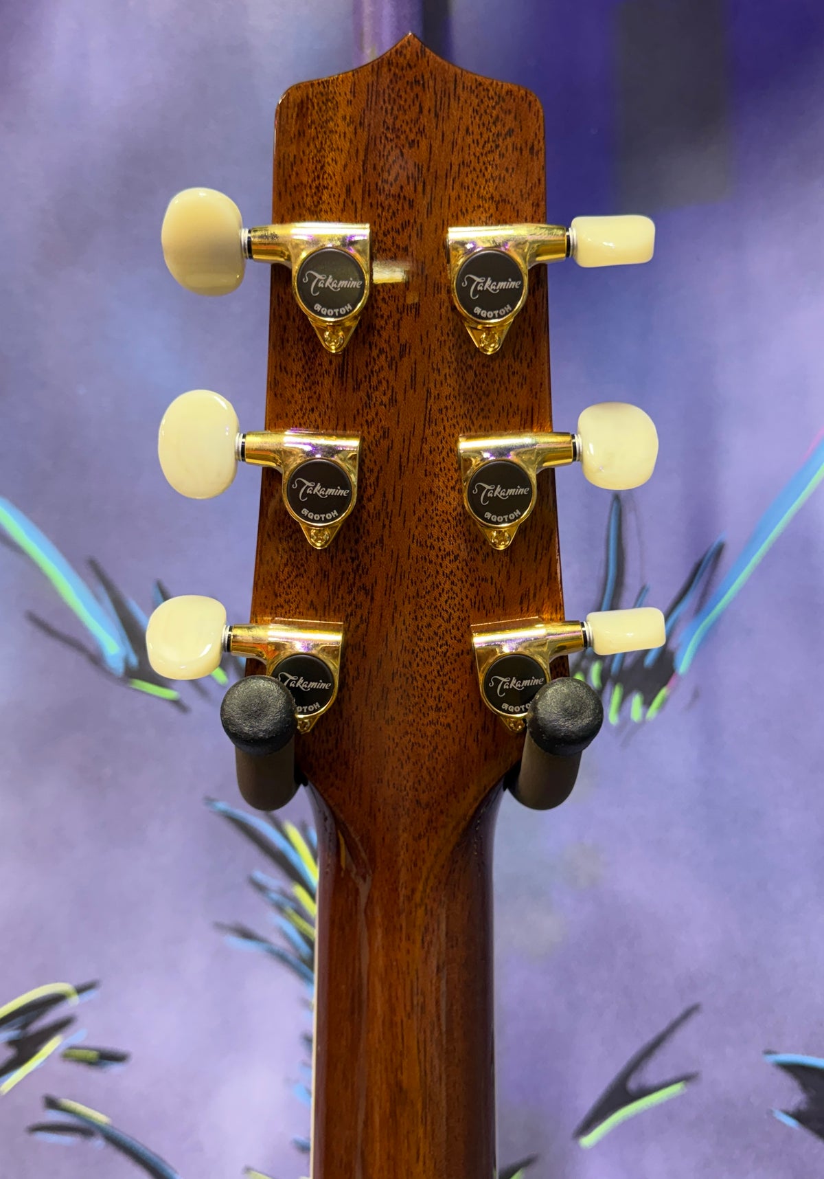 NEW Takamine RNV460C – Limited Revival Series