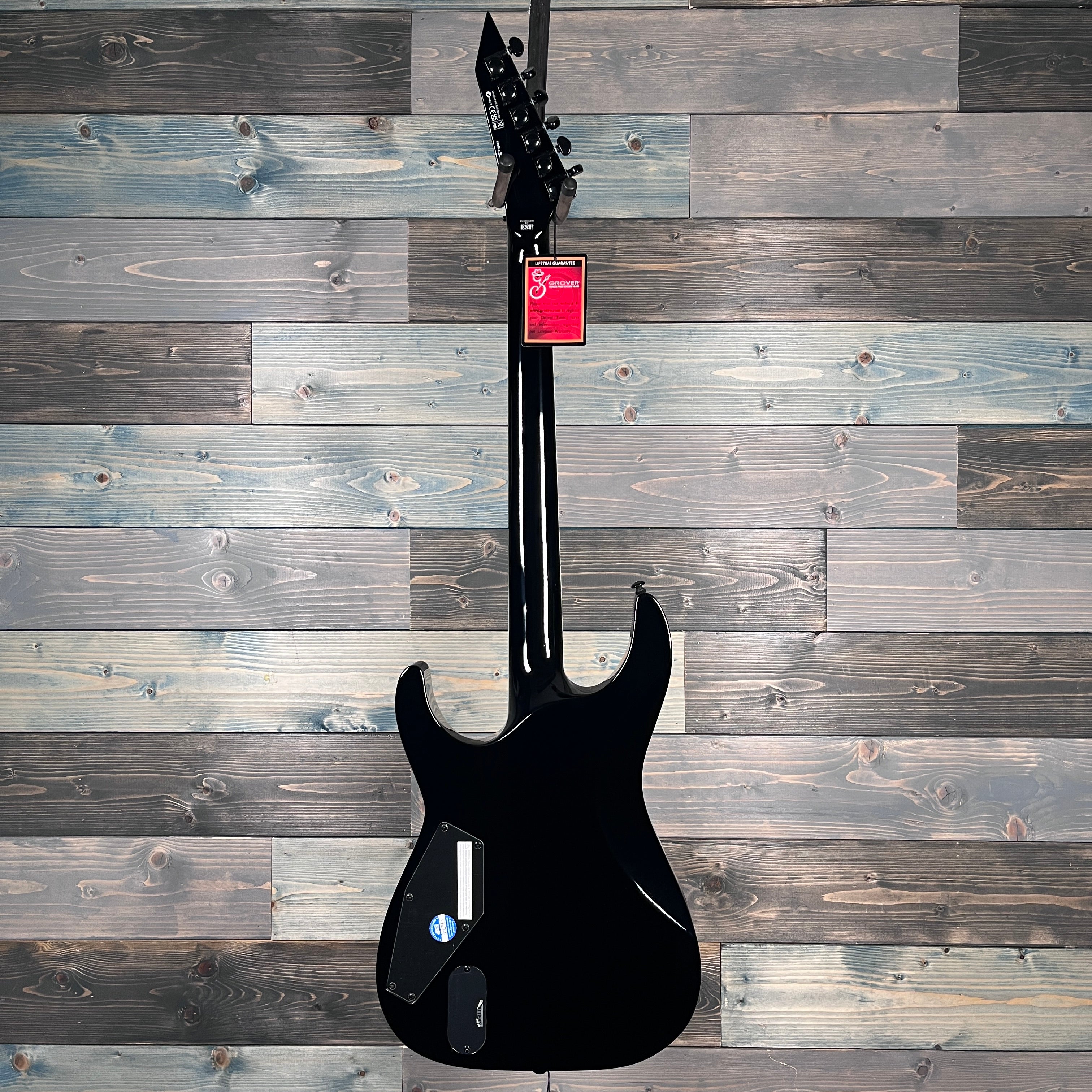 ESP LTD JH-600 CTM Electric - Black