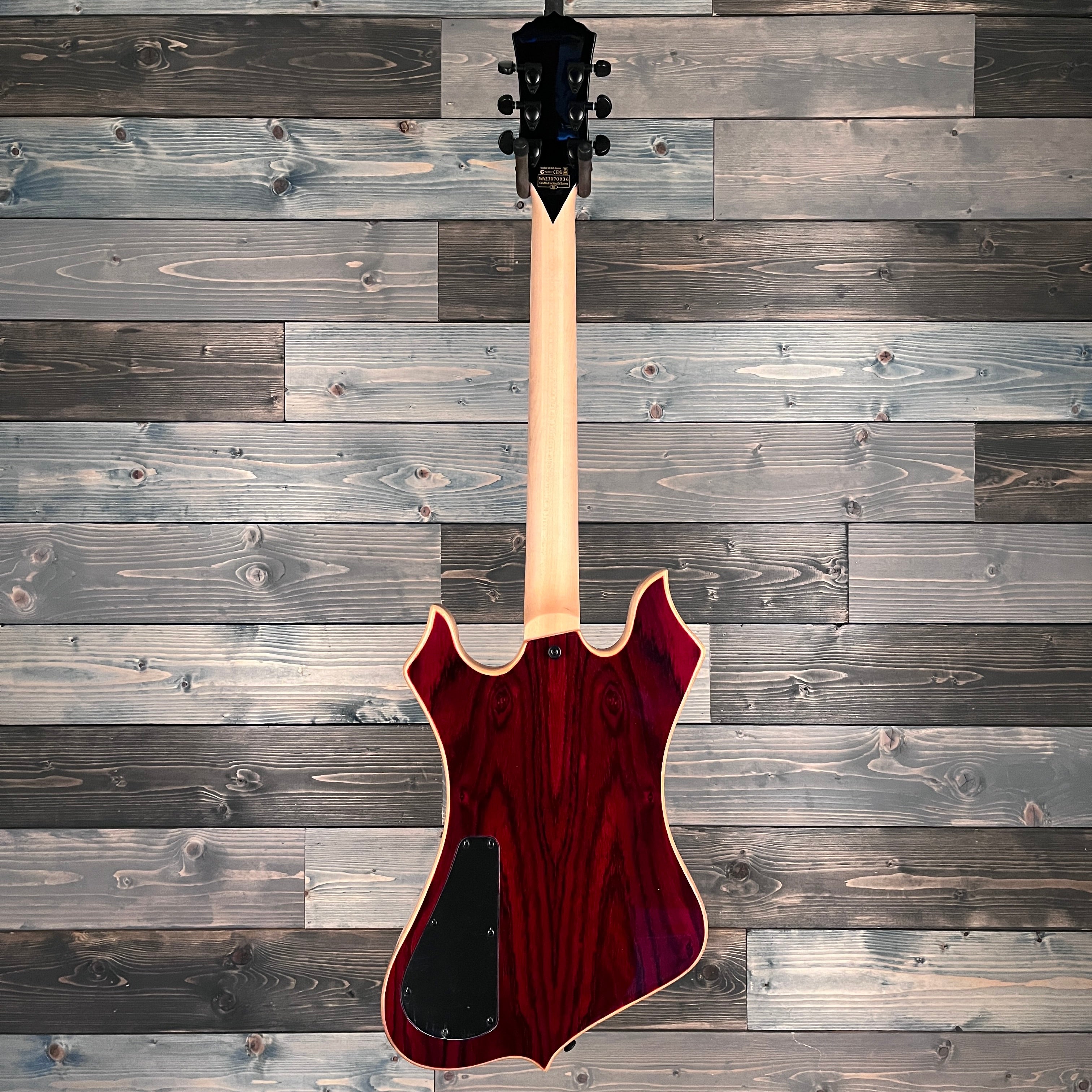 Wylde Audio 4537 Nomad Cocobolo Electric Guitar
