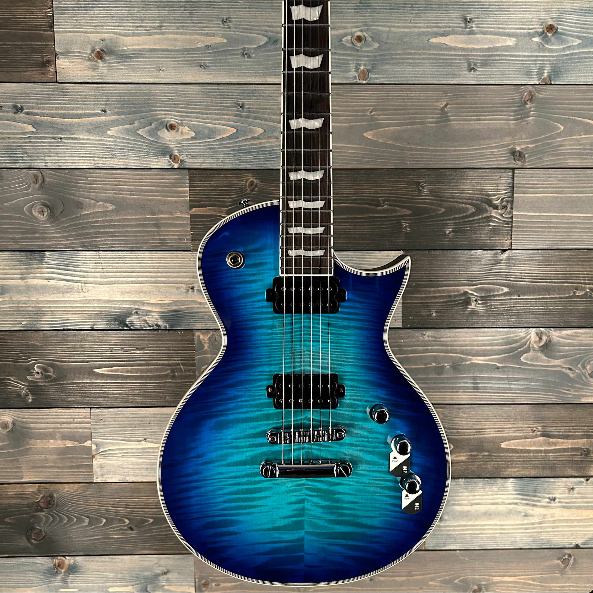 ESP LTD EC-1000T CTM Electric Guitar - Violet Shadow