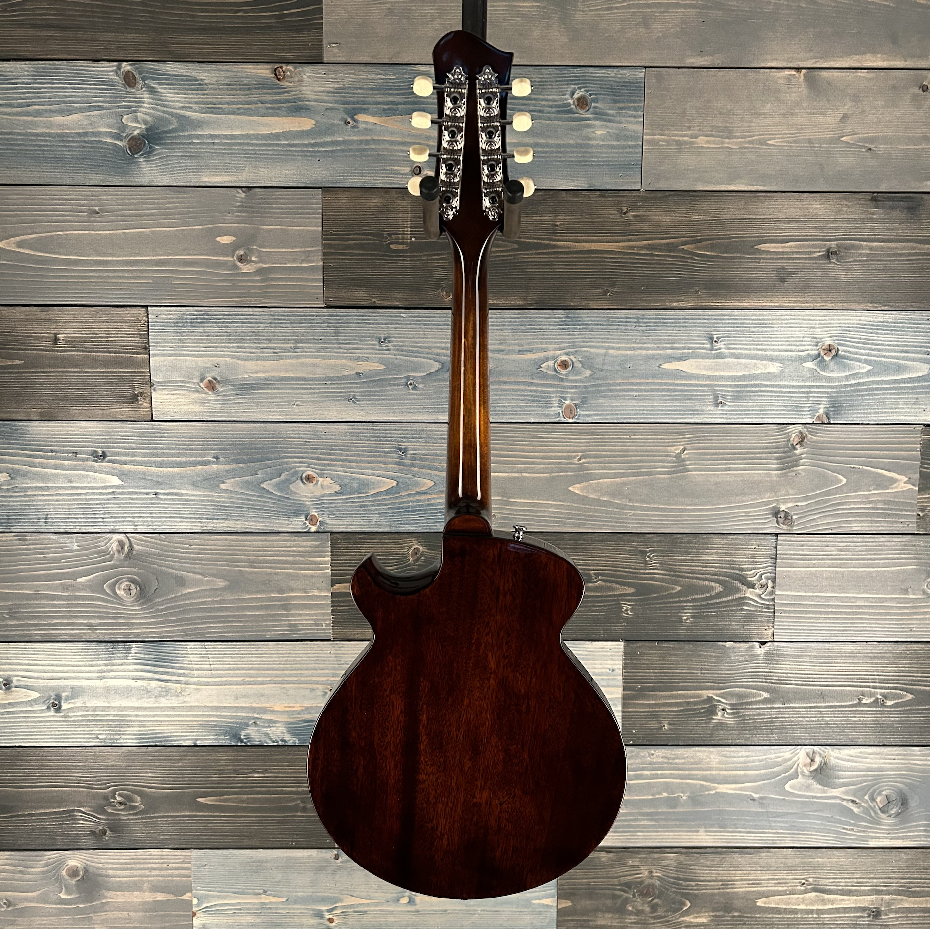 Eastman ERM El Rey Electric Mandolin