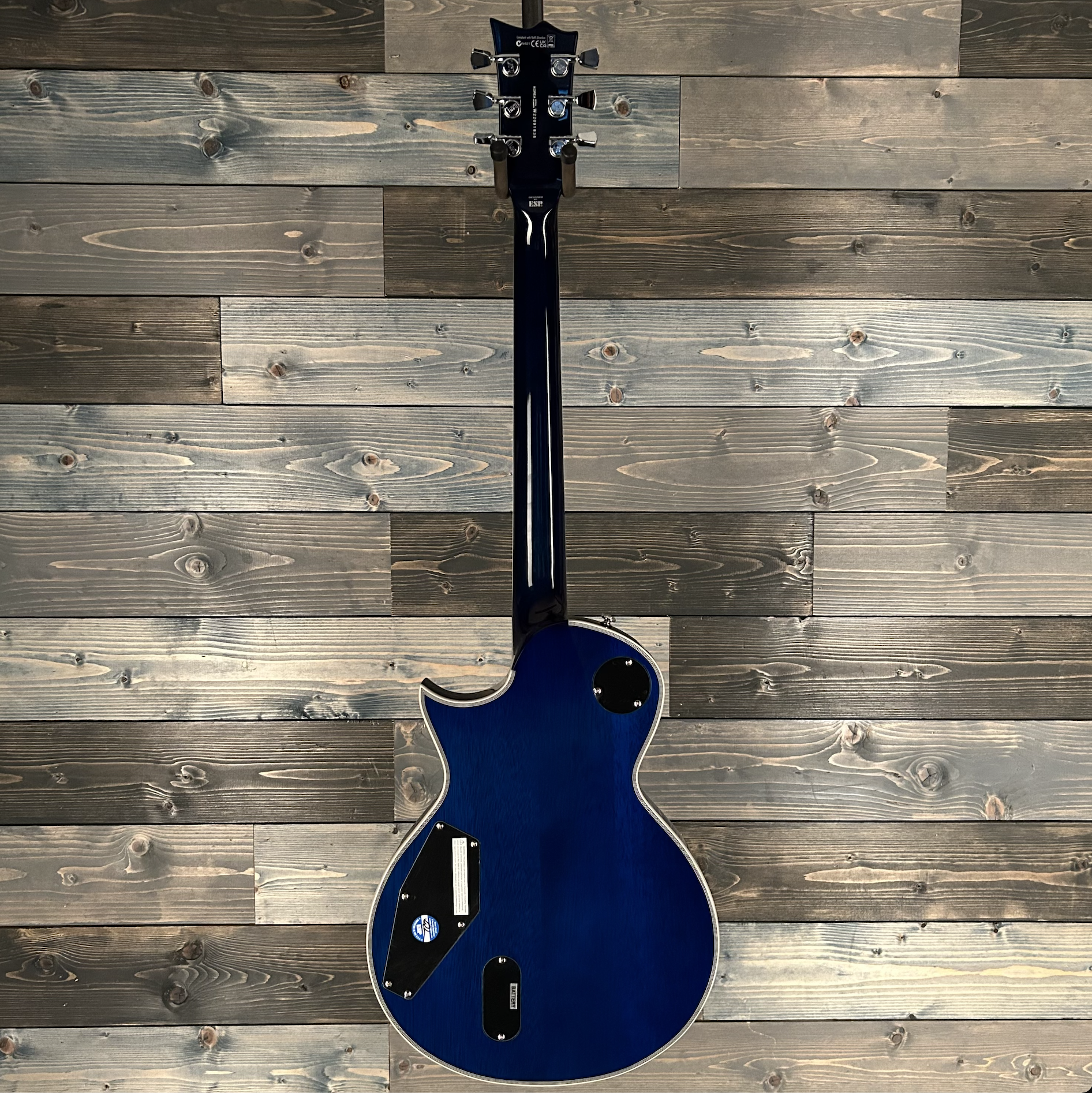 ESP LTD EC-1000T CTM Electric Guitar - Violet Shadow