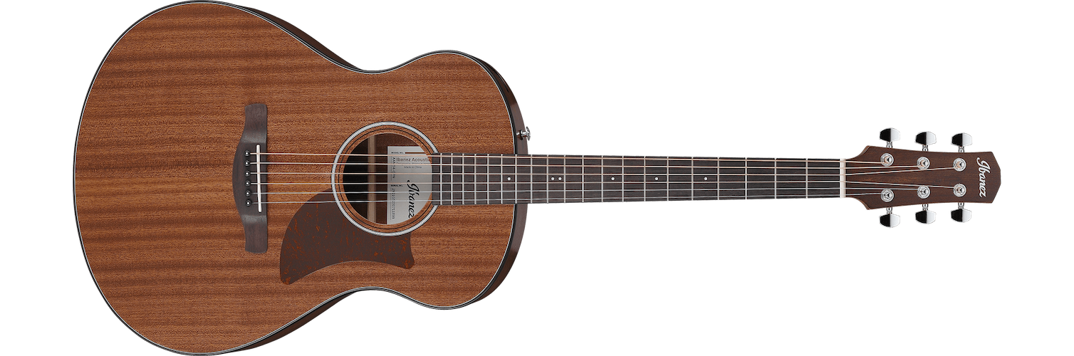 Ibanez AAM54 Acoustic Guitar - Open Pore Natural