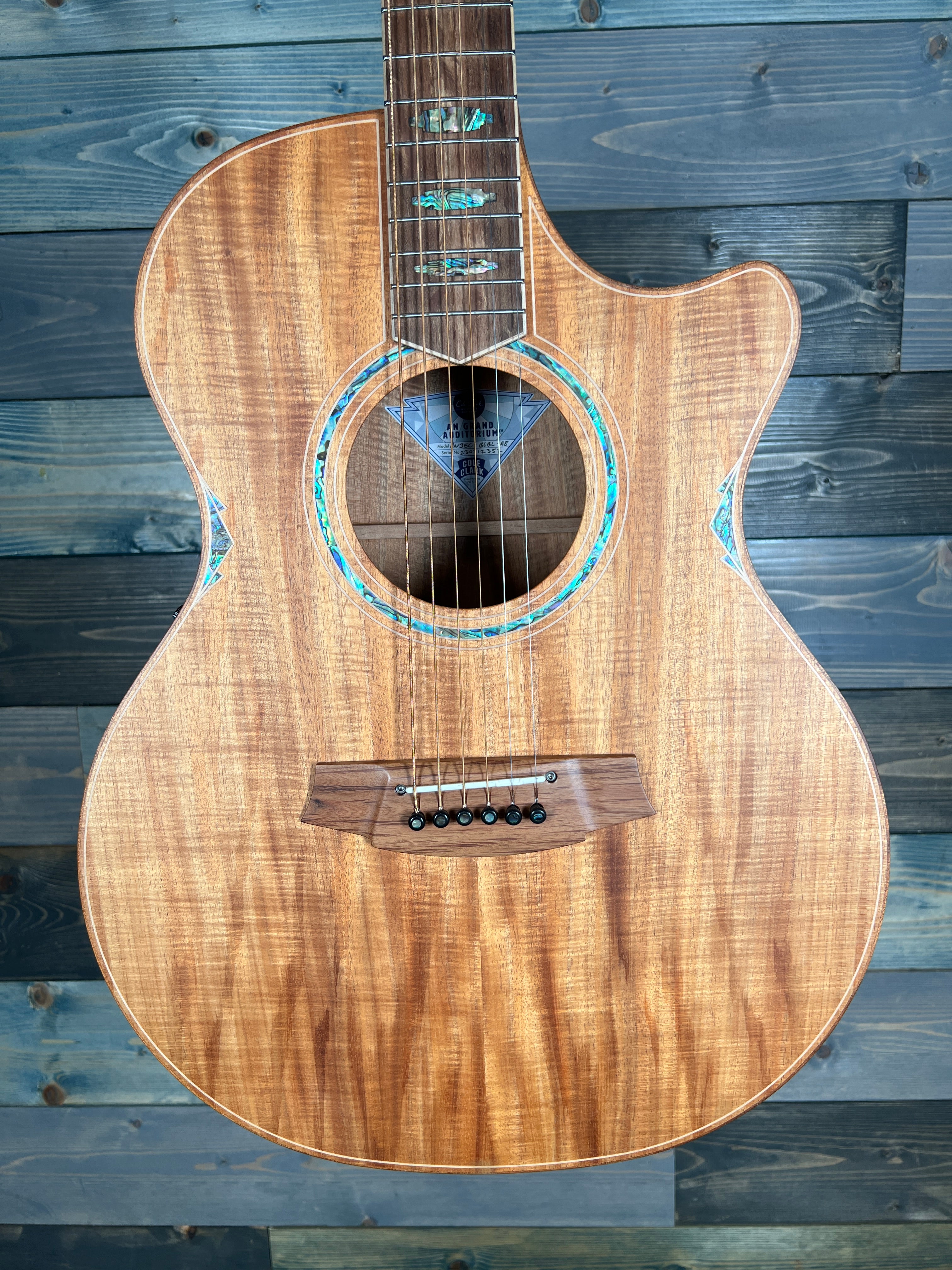 USED Cole Clark AN3EC-BLBL-AE