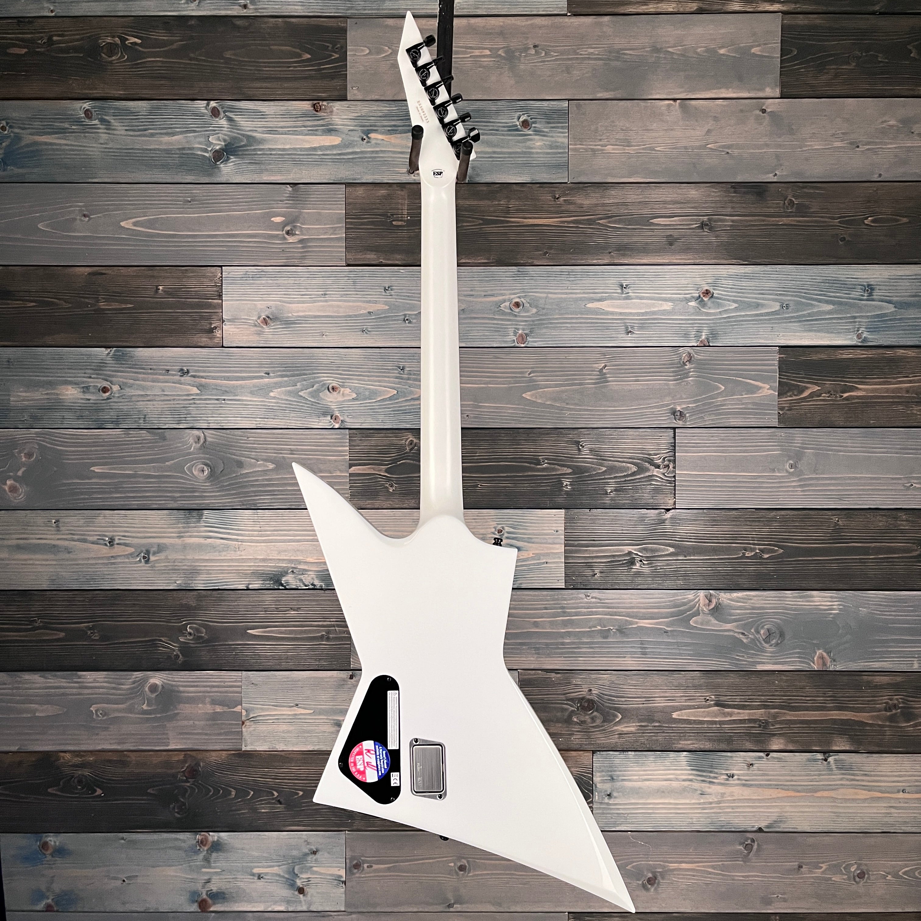 ESP E-II EX NT Electric Guitar - Snow White
