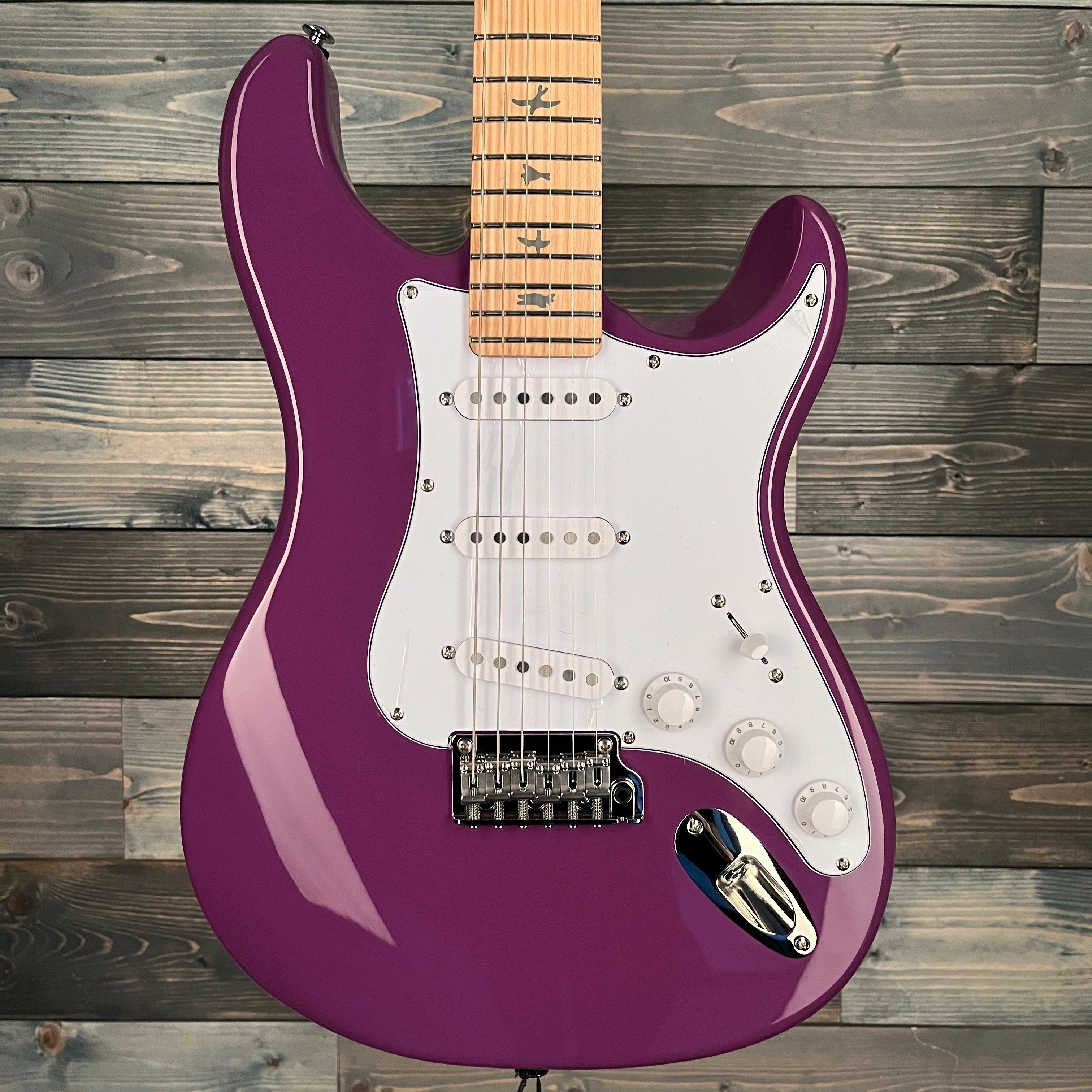 PRS SE Silver Sky Maple Fingerboard - Summit Purple