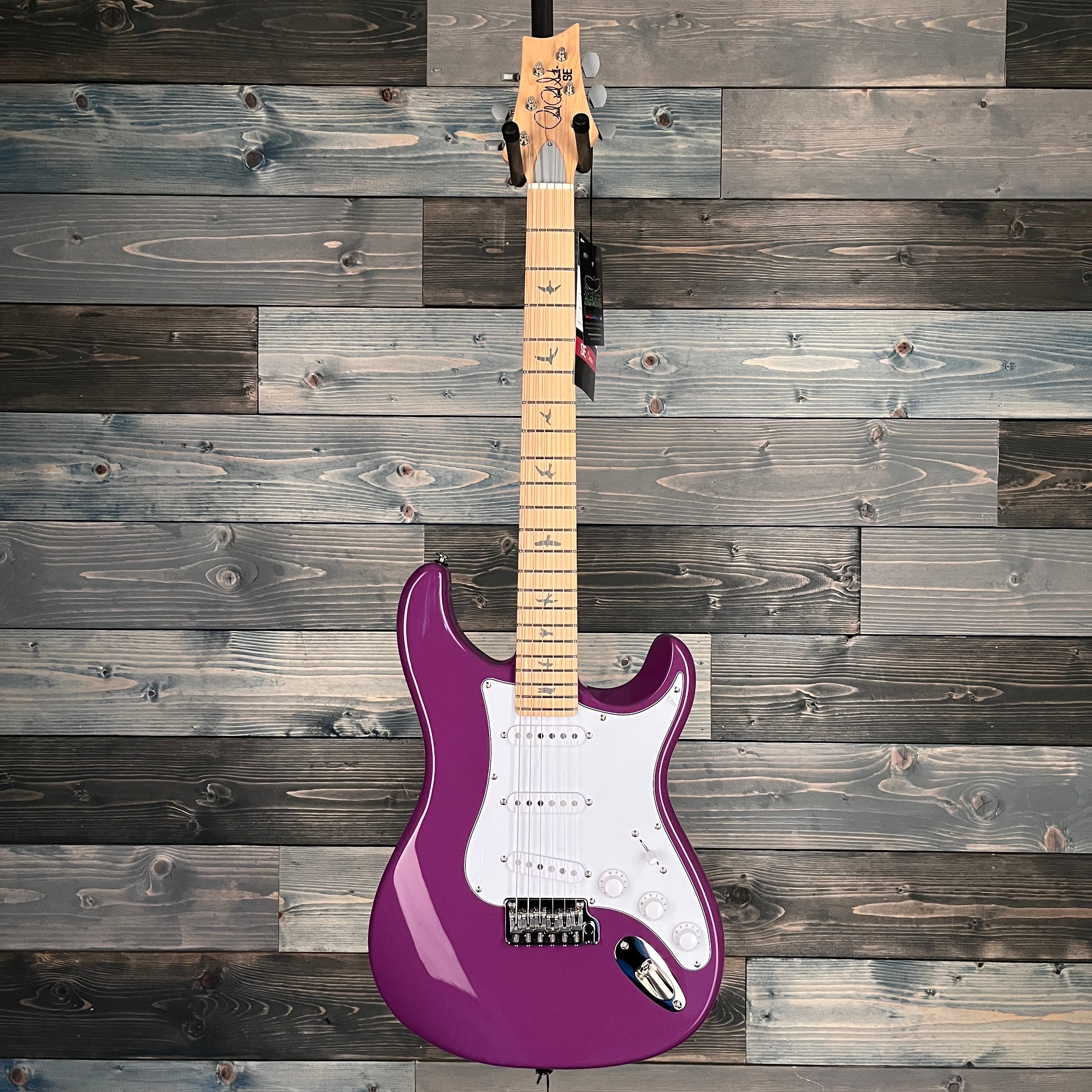 PRS SE Silver Sky Maple Fingerboard - Summit Purple