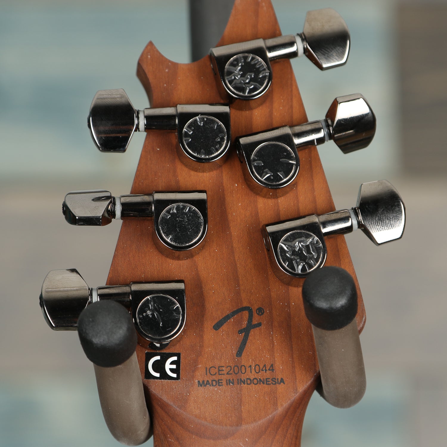 EVH Wolfgang WG Standard Exotic Ziricote, Baked Maple Fingerboard, Natural