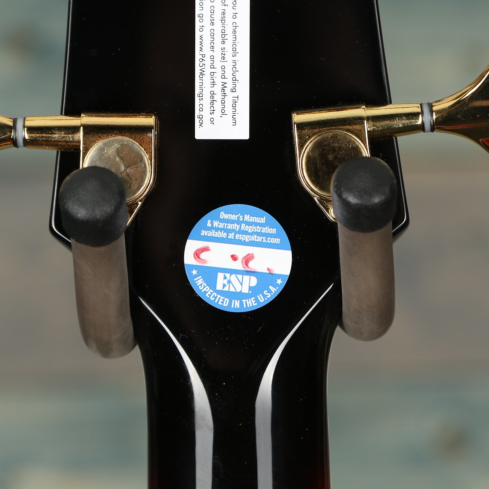 Takamine GB72CE BSB Acoustic Bass - Brown Sunburst