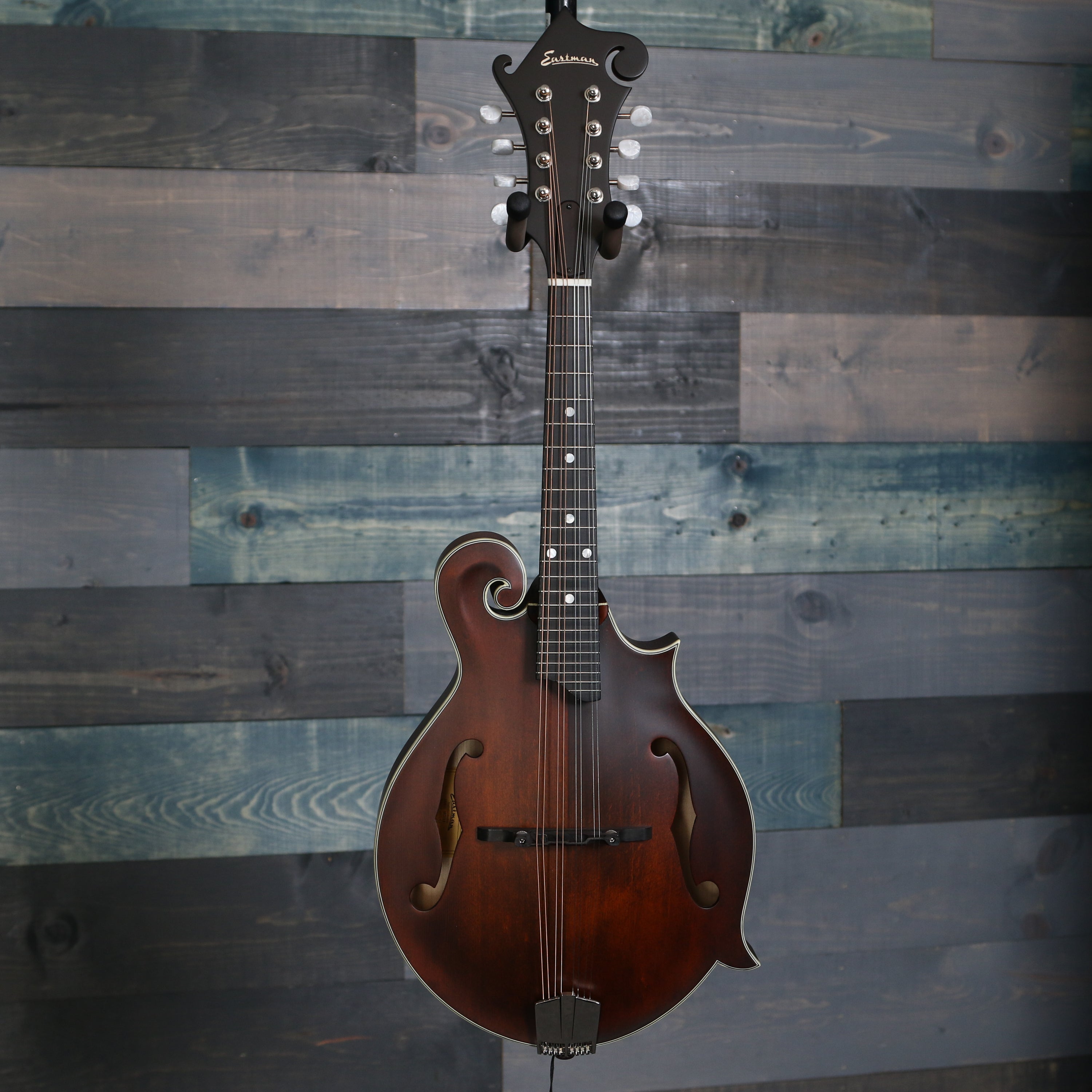 Eastman MD315 F-Style Mandolin w/Gig Bag - Classic