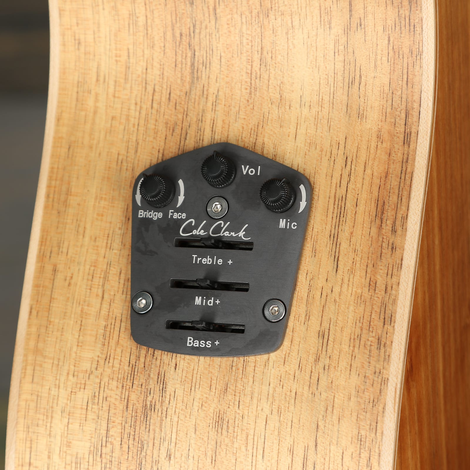 Cole Clark Angel 2 Series AN2EC-BLBLSB Acoustic - Blackwood/Blackwood