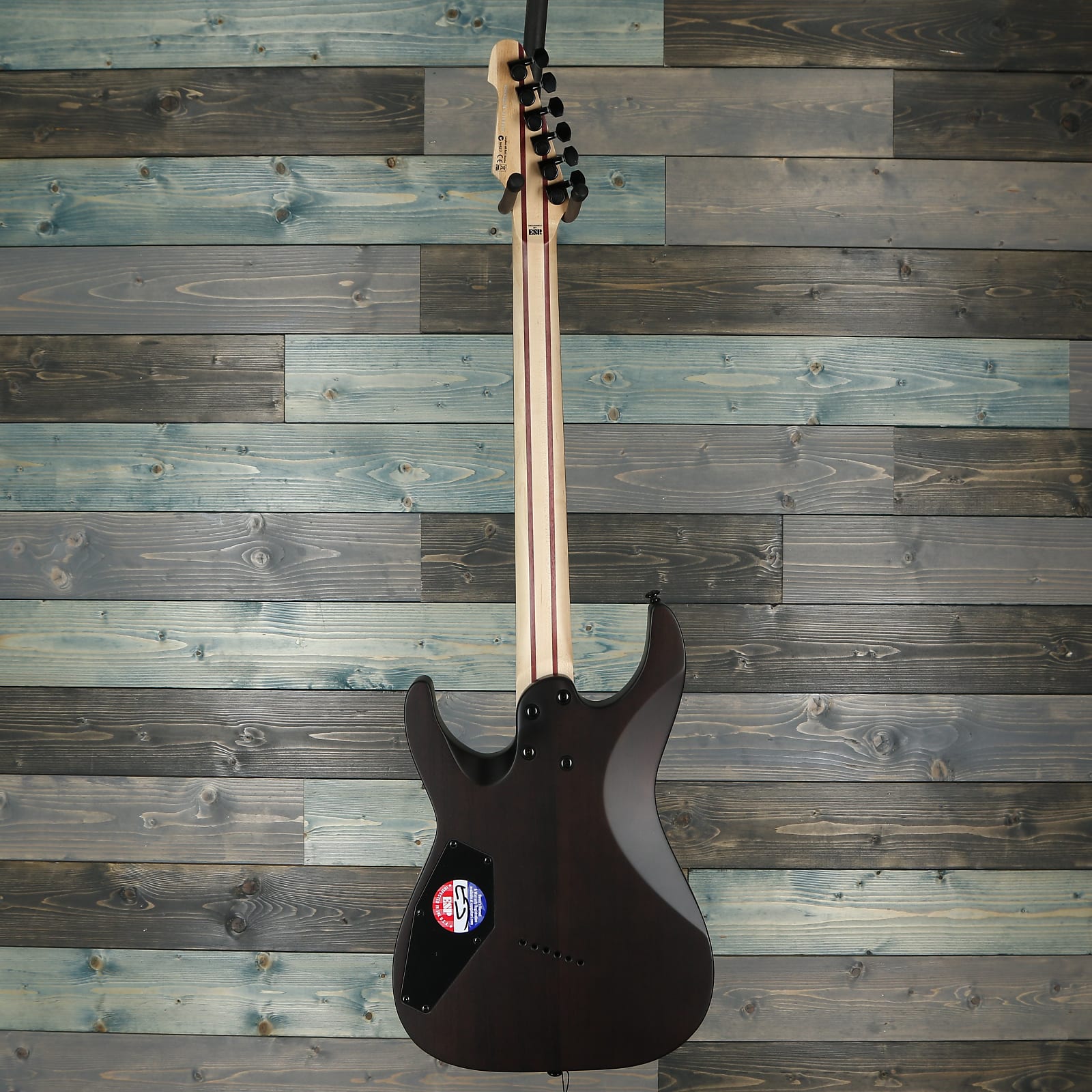 ESP LTD M-1000 Multi-Scale - See Thru Black Satin