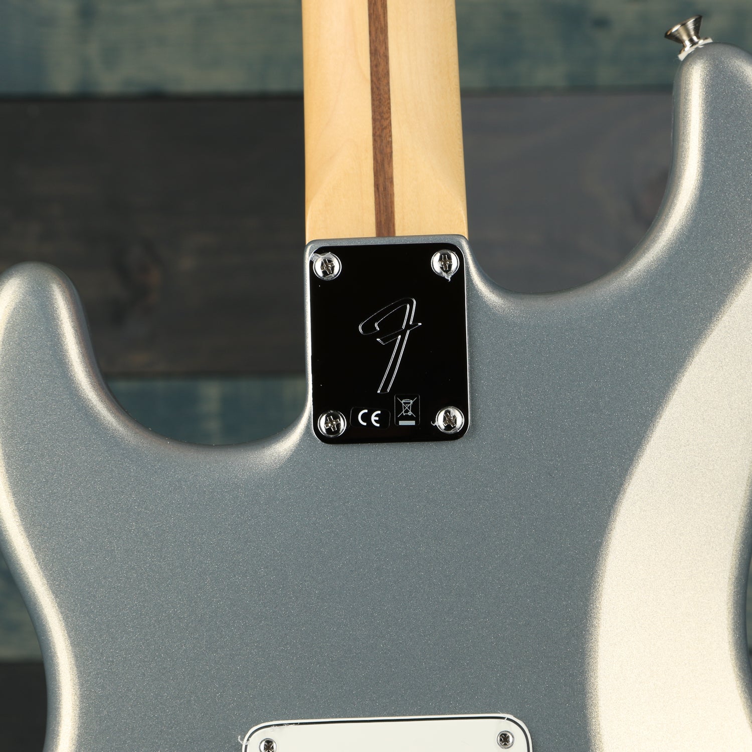 Fender Player Stratocaster, Pau Ferro Fingerboard, Silver
