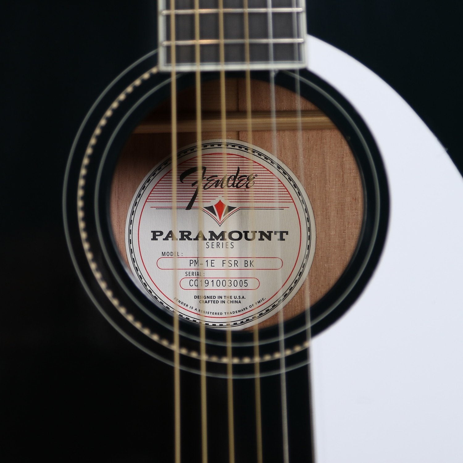 Fender PM-1E Dreadnought Limited Edition Black w/case