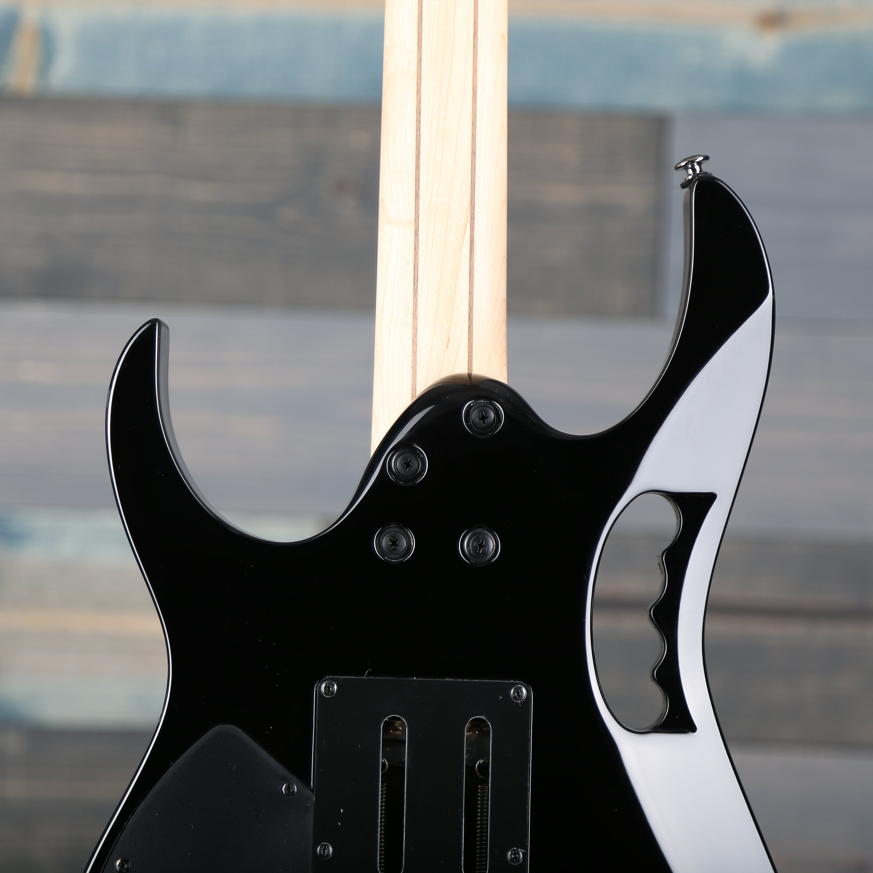 Ibanez JEM77PBFP Blue Floral Pattern Steve Vai Signature w/Gigbag