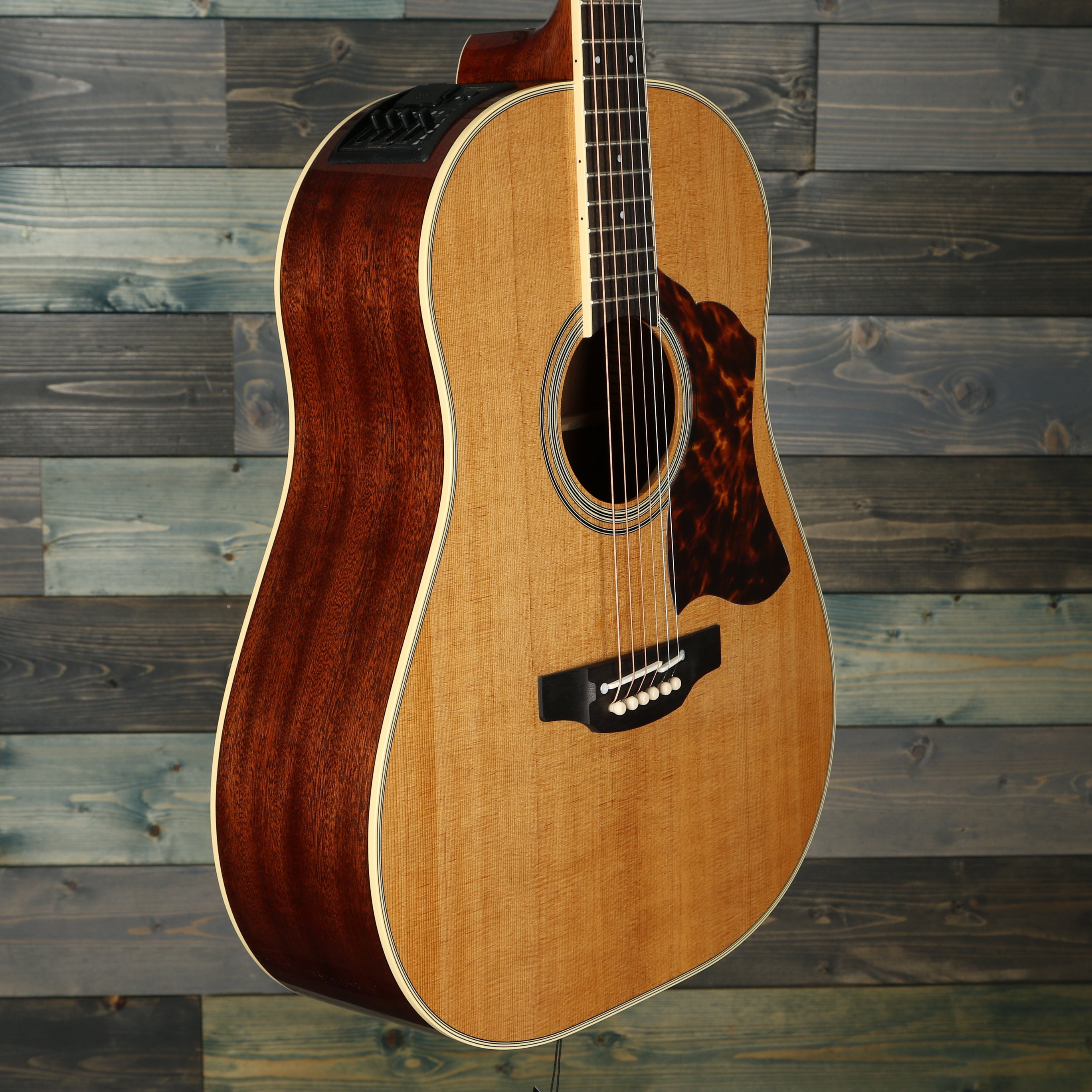 Takamine CRN-TS1 Thermal Spruce Dreadnought Acoustic Guitar