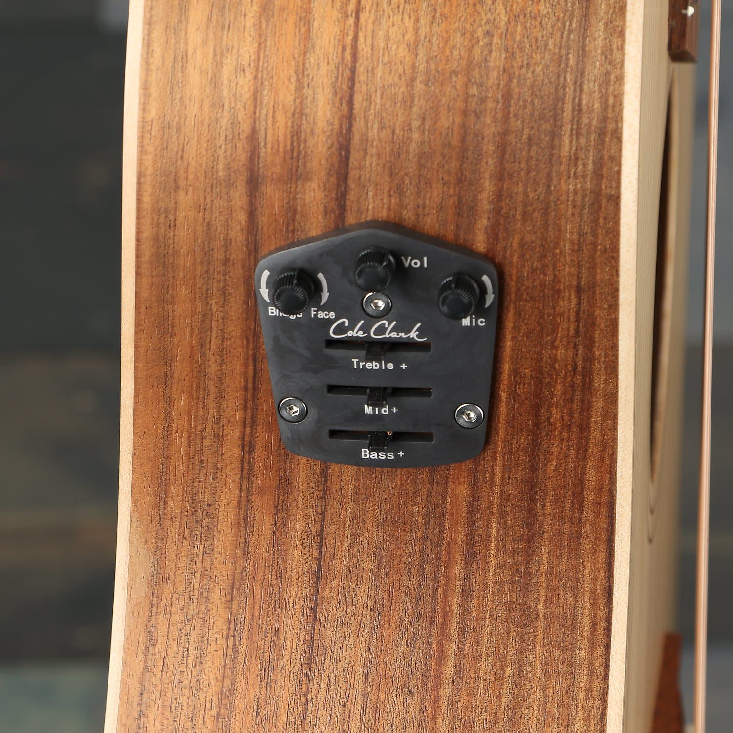 Cole Clark Fat Lady 2 Series FL2E-BB Cutaway Guitar - Bunya/Blackwood