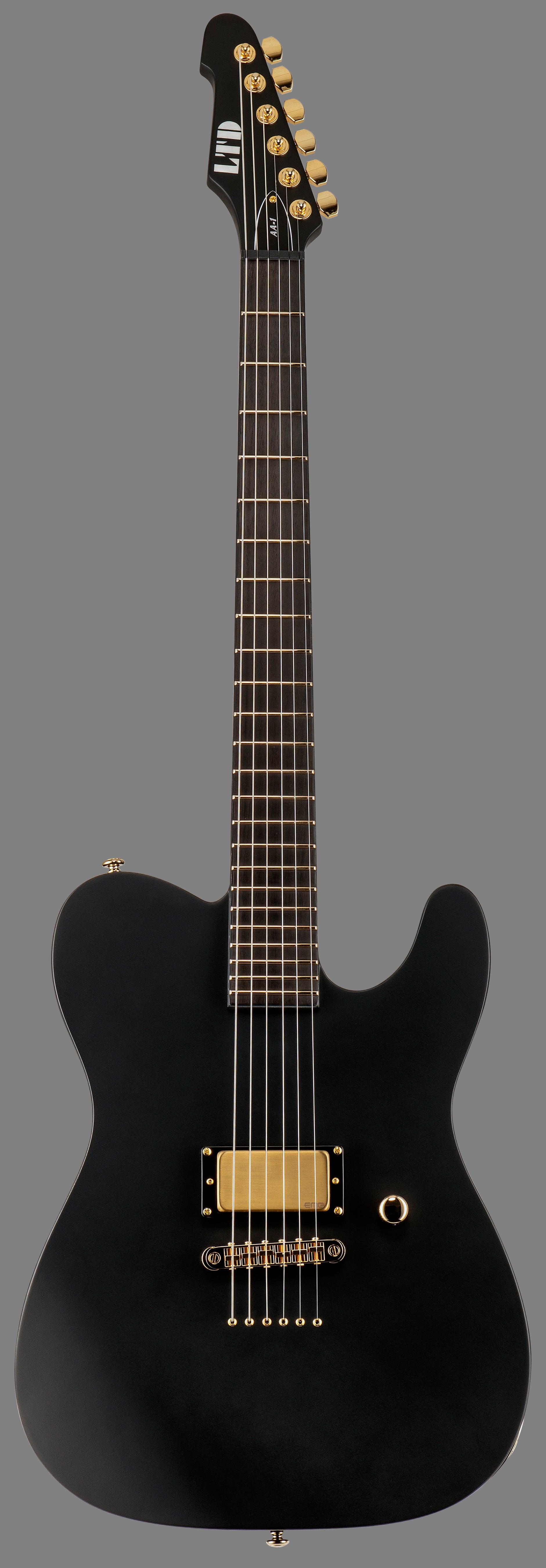 ESP LTD AA-1 Alan Ashby Signature Series Electric Guitar