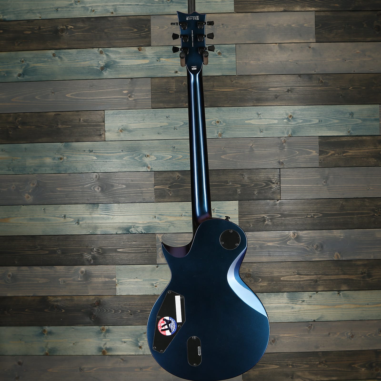 ESP LTD EC-1000 Fluence Electric Guitar Andromeda