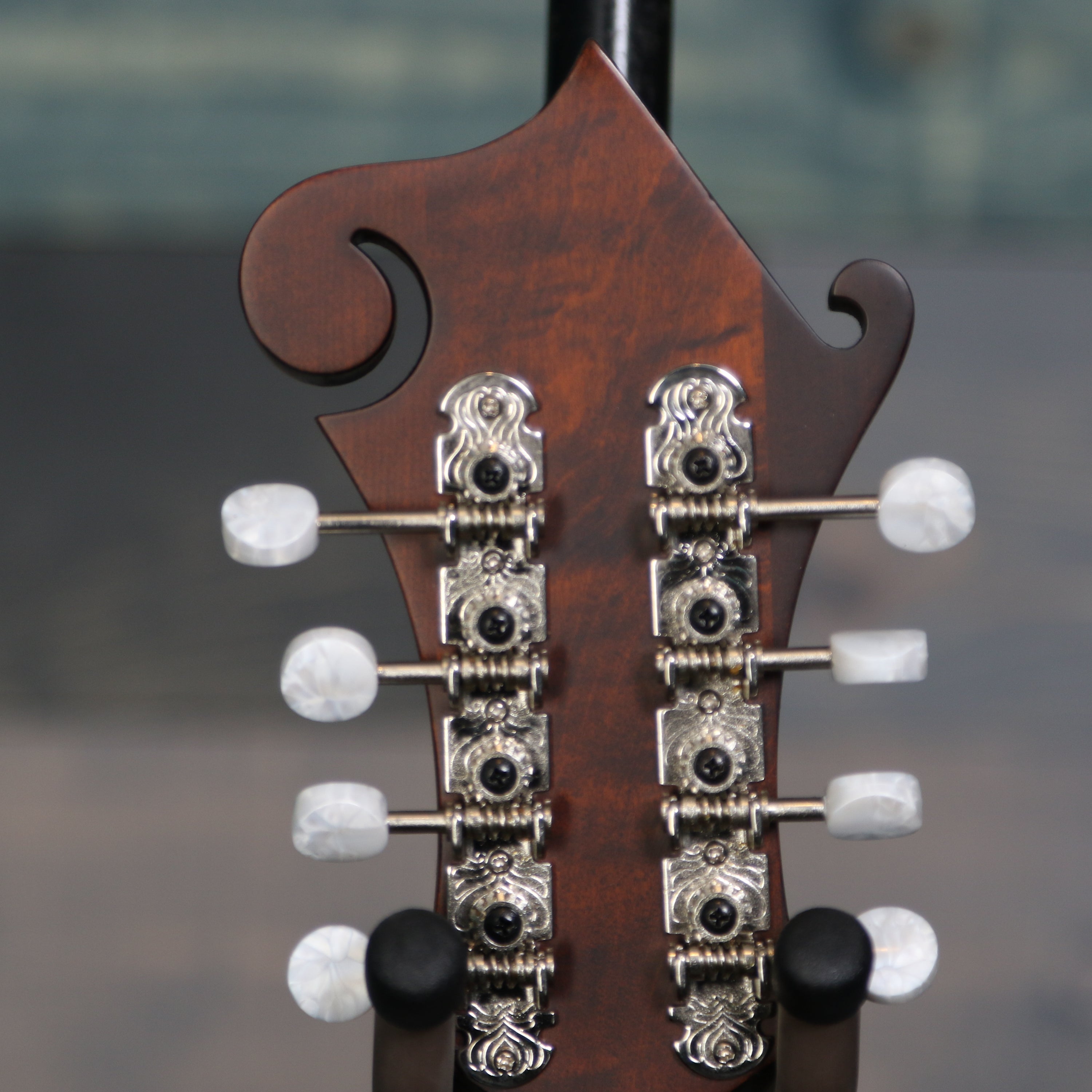 Eastman MD315 F-Style Mandolin w/Gig Bag - Classic