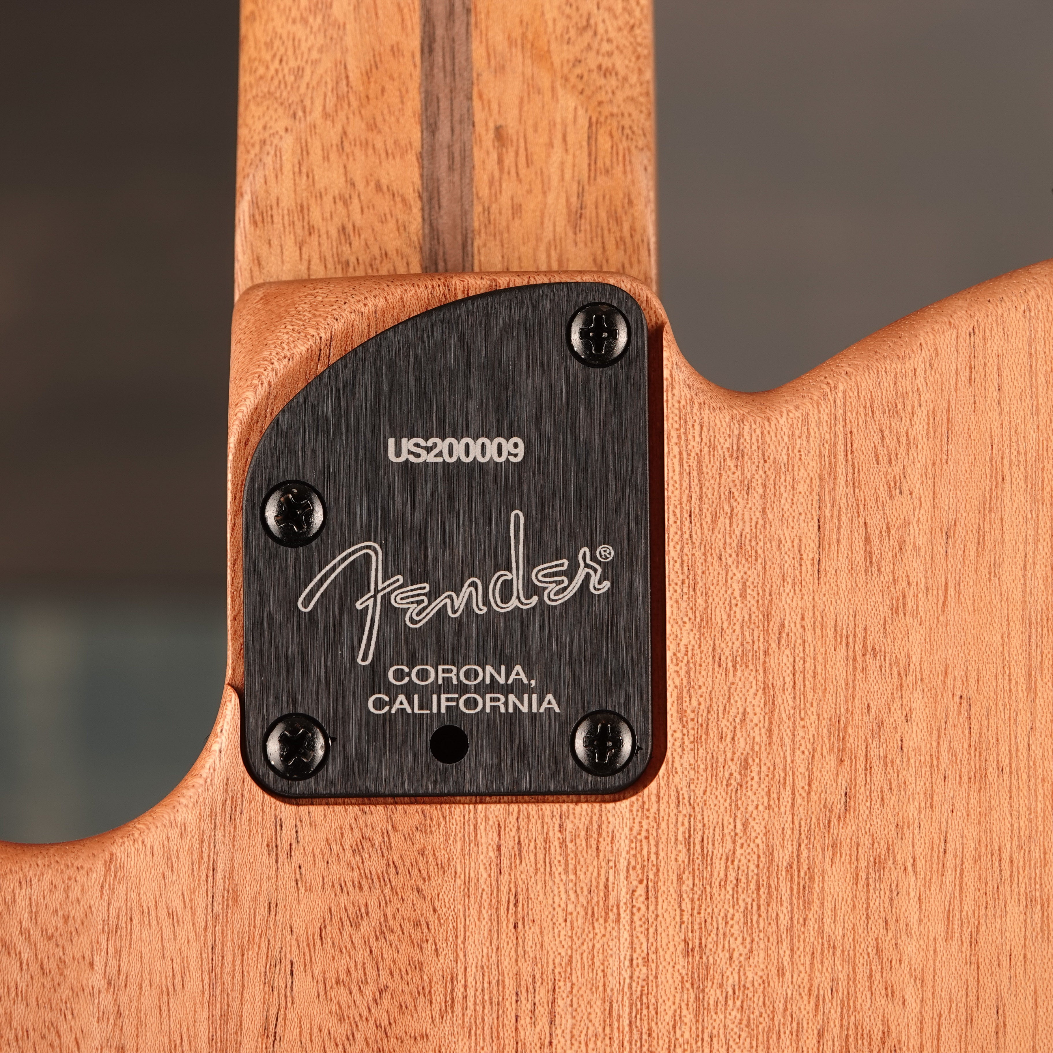 Fender American Acoustasonic™ Telecaster®, Ebony Fingerboard, Natural