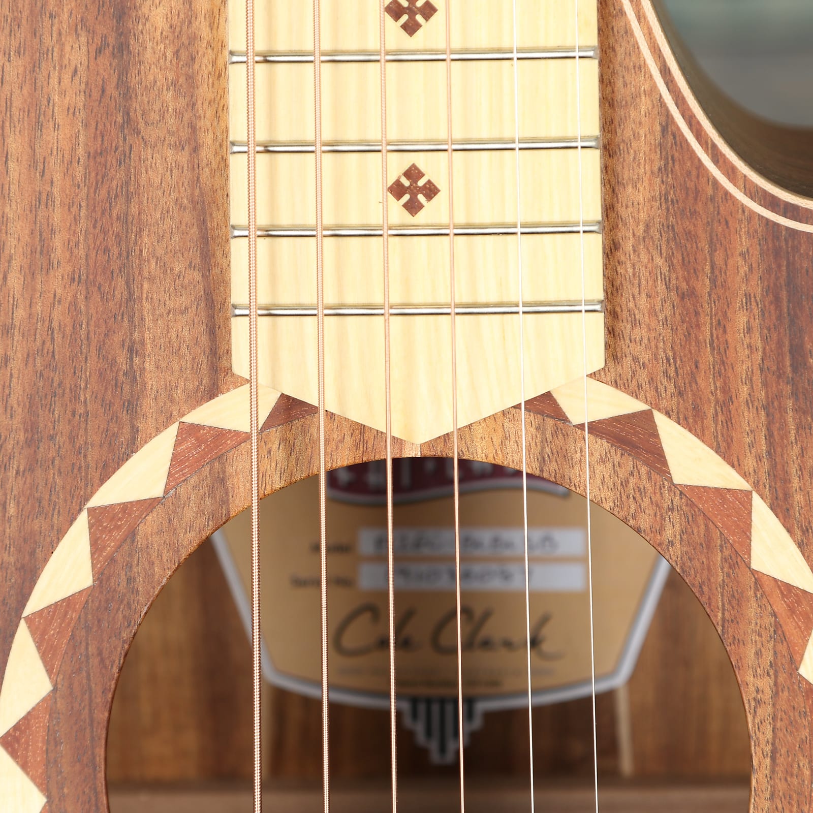 Cole Clark Fat Lady 2 Series FL2EC-BLBLSB Australian Blackwood Face