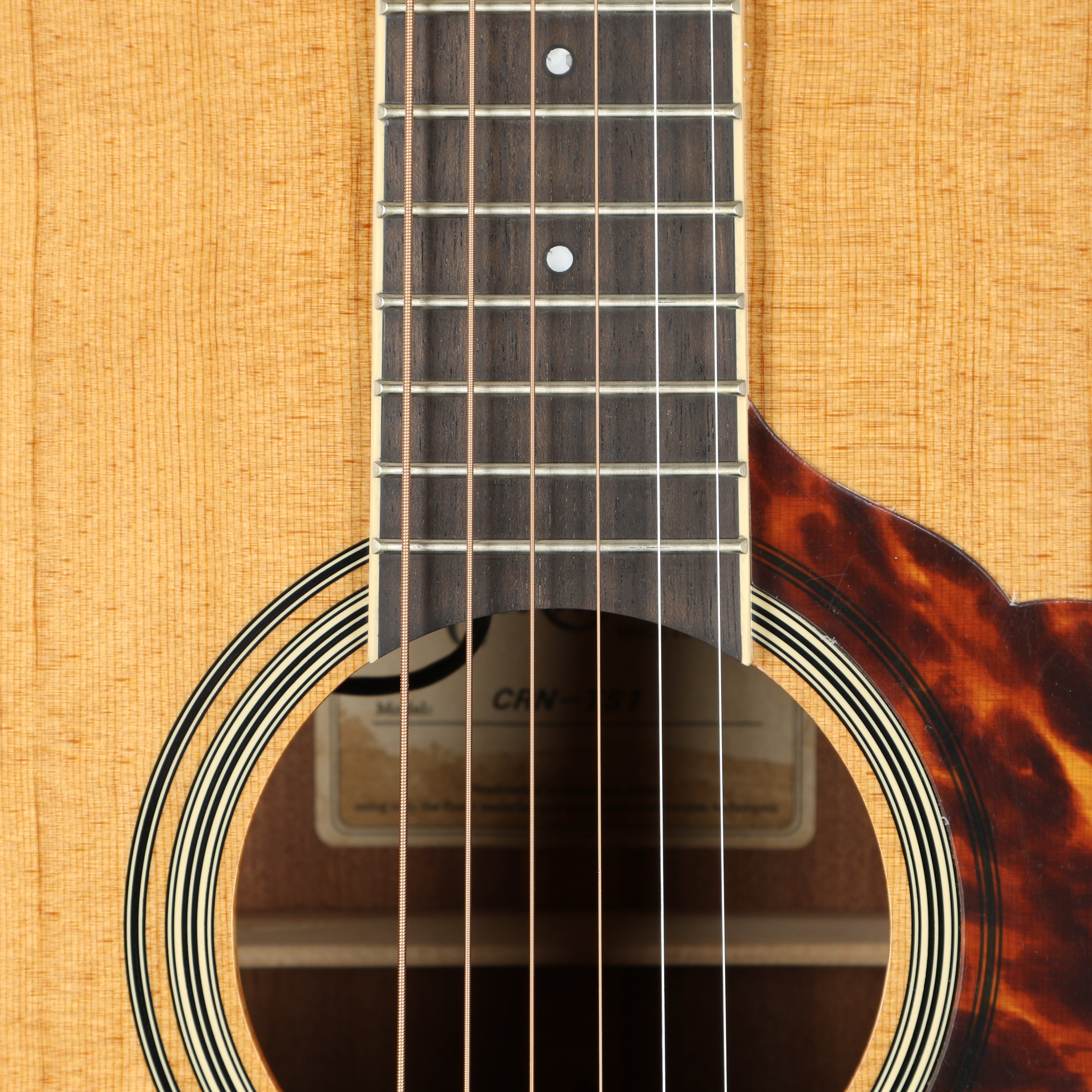 Takamine CRN-TS1 Thermal Spruce Dreadnought Acoustic Guitar