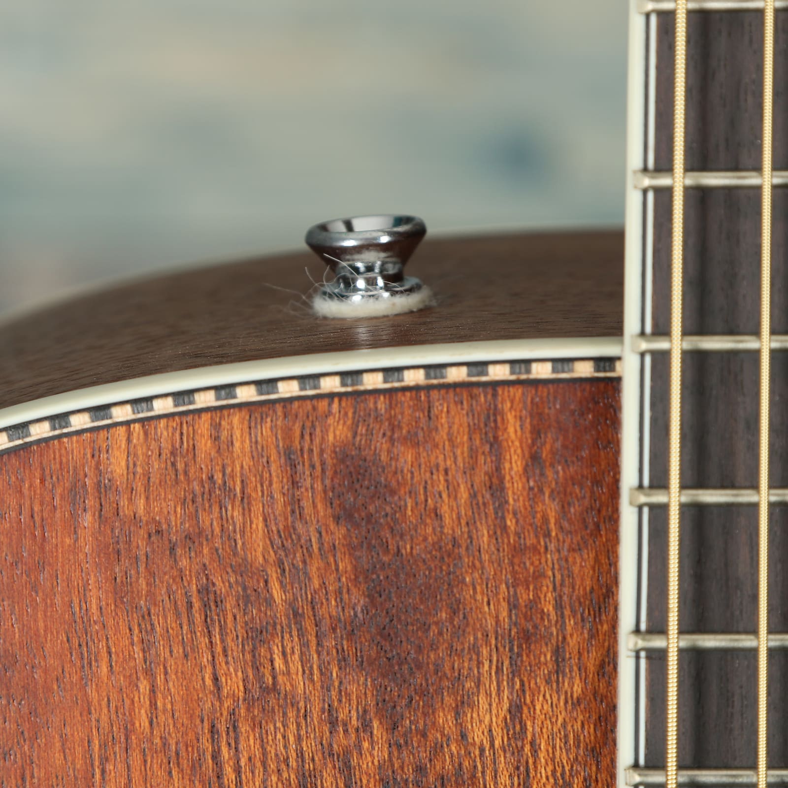 Fender PM-1 Dreadnought, Ovangkol Fingerboard, All-Mahogany w/case