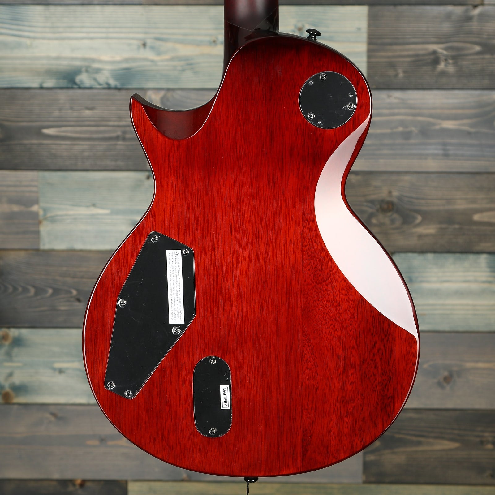 ESP LTD EC-1001 Electric Guitar - Tiger Eye