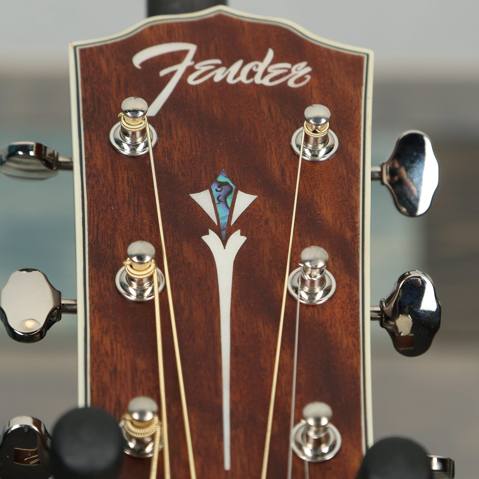 Fender PM-1 Dreadnought, Ovangkol Fingerboard, All-Mahogany w/case