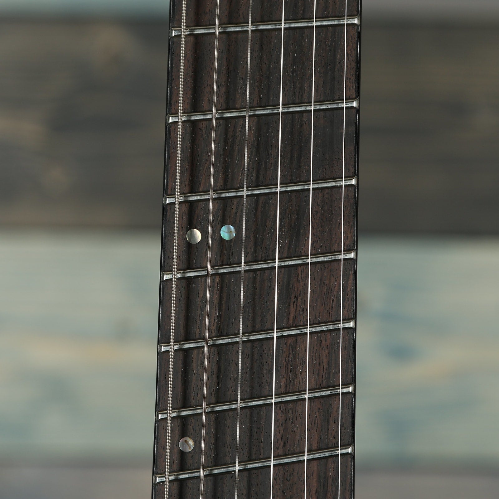 ESP LTD M-1000 Multi-Scale - See Thru Black Satin