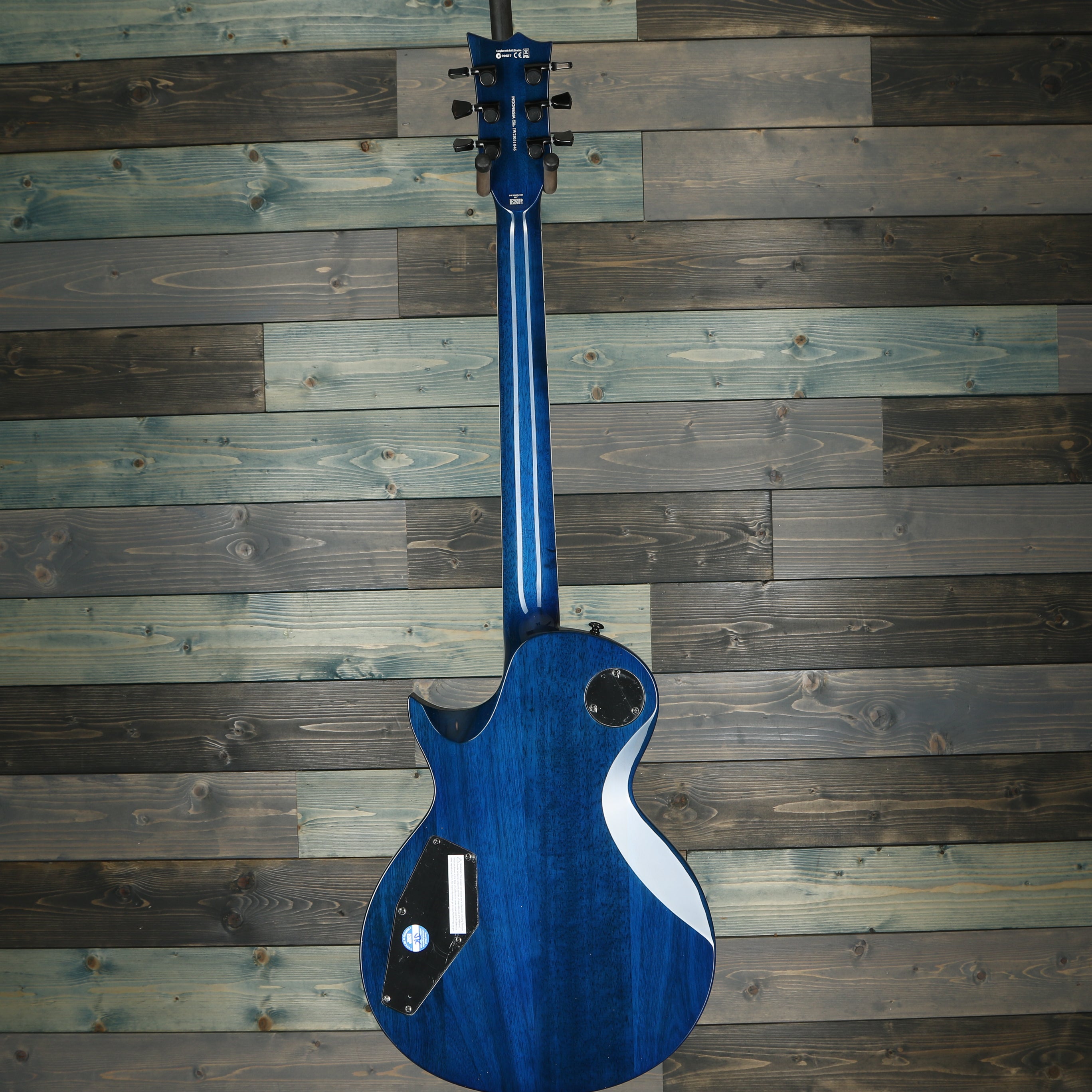 ESP LTD EC-1000 Electric Guitar - Blue Natural Fade