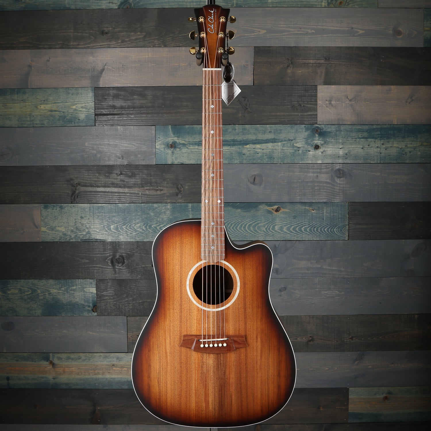 Cole Clark Fat Lady 2 Series FL2EC-BLBL Blackwood/Blackwood w/Sunburst