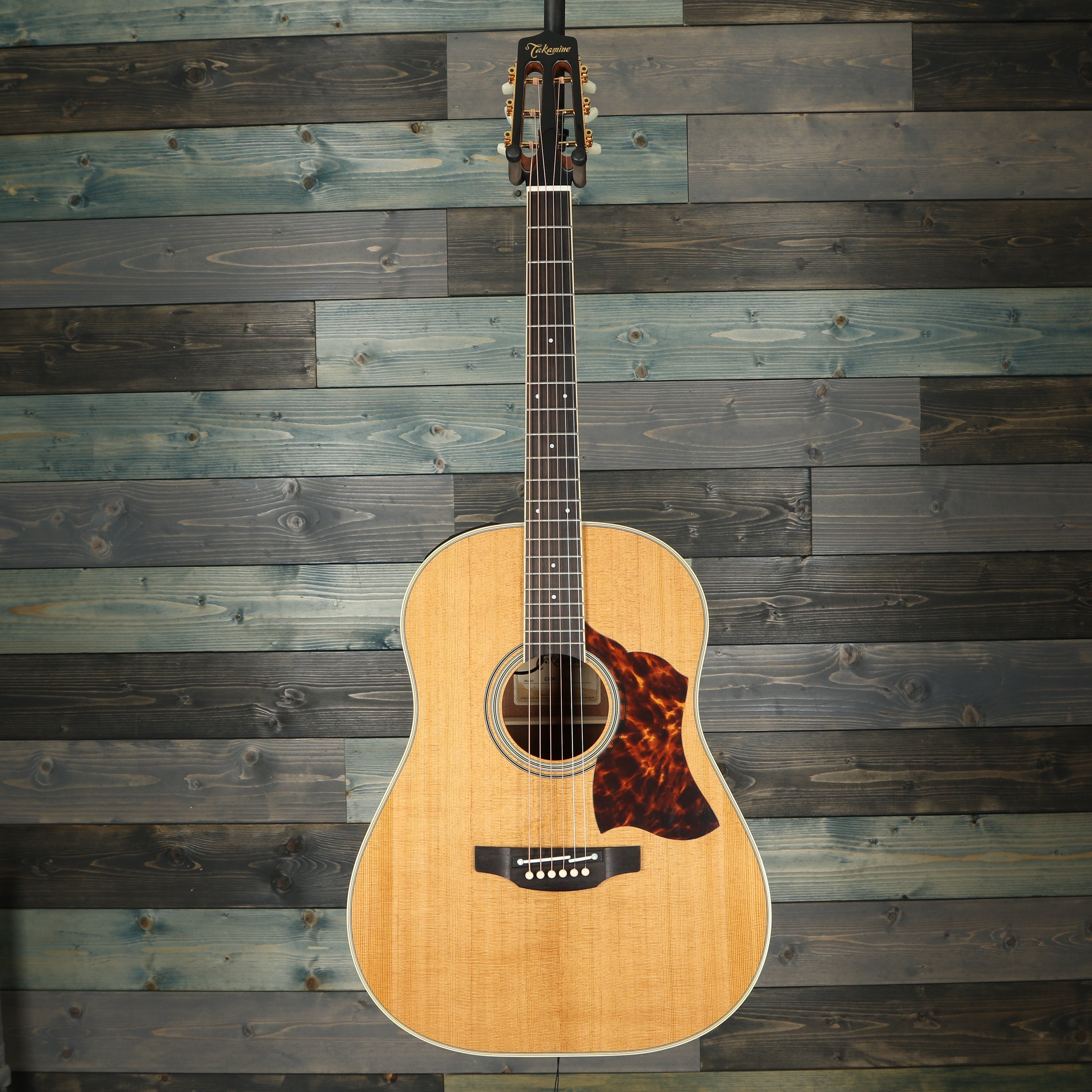 Takamine CRN-TS1 Thermal Spruce Dreadnought Acoustic Guitar