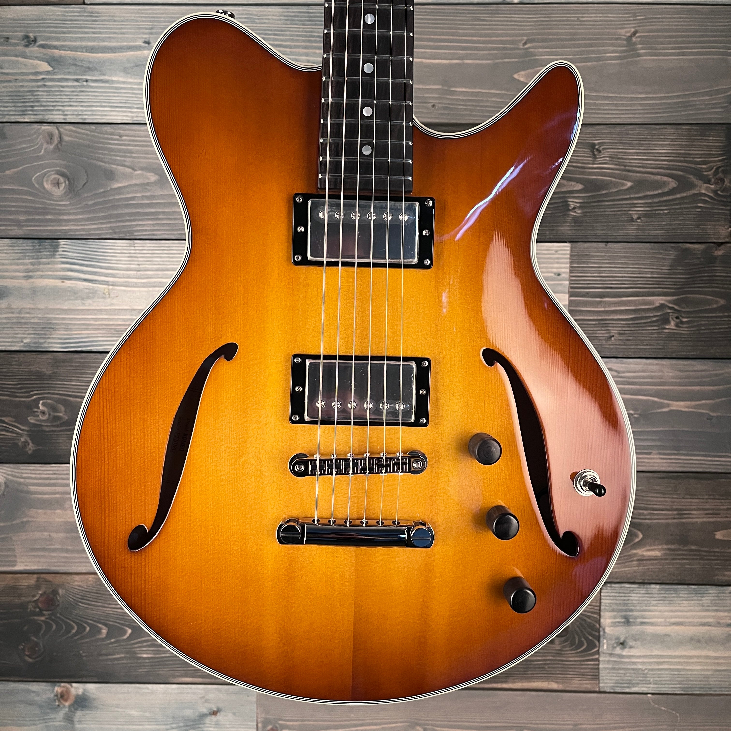 Eastman Romeo Electric Thinline - Goldburst