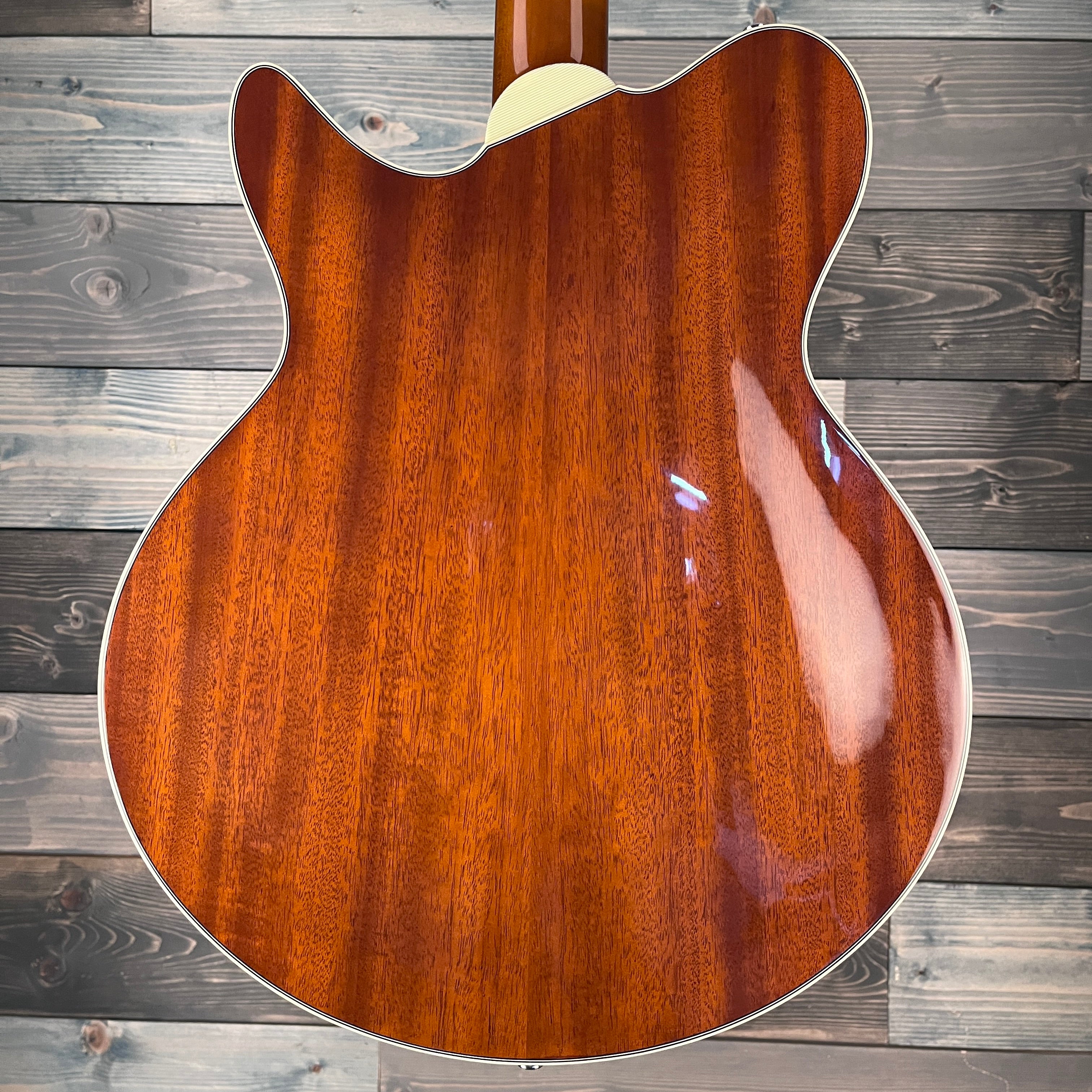 Eastman Romeo Electric Thinline - Goldburst