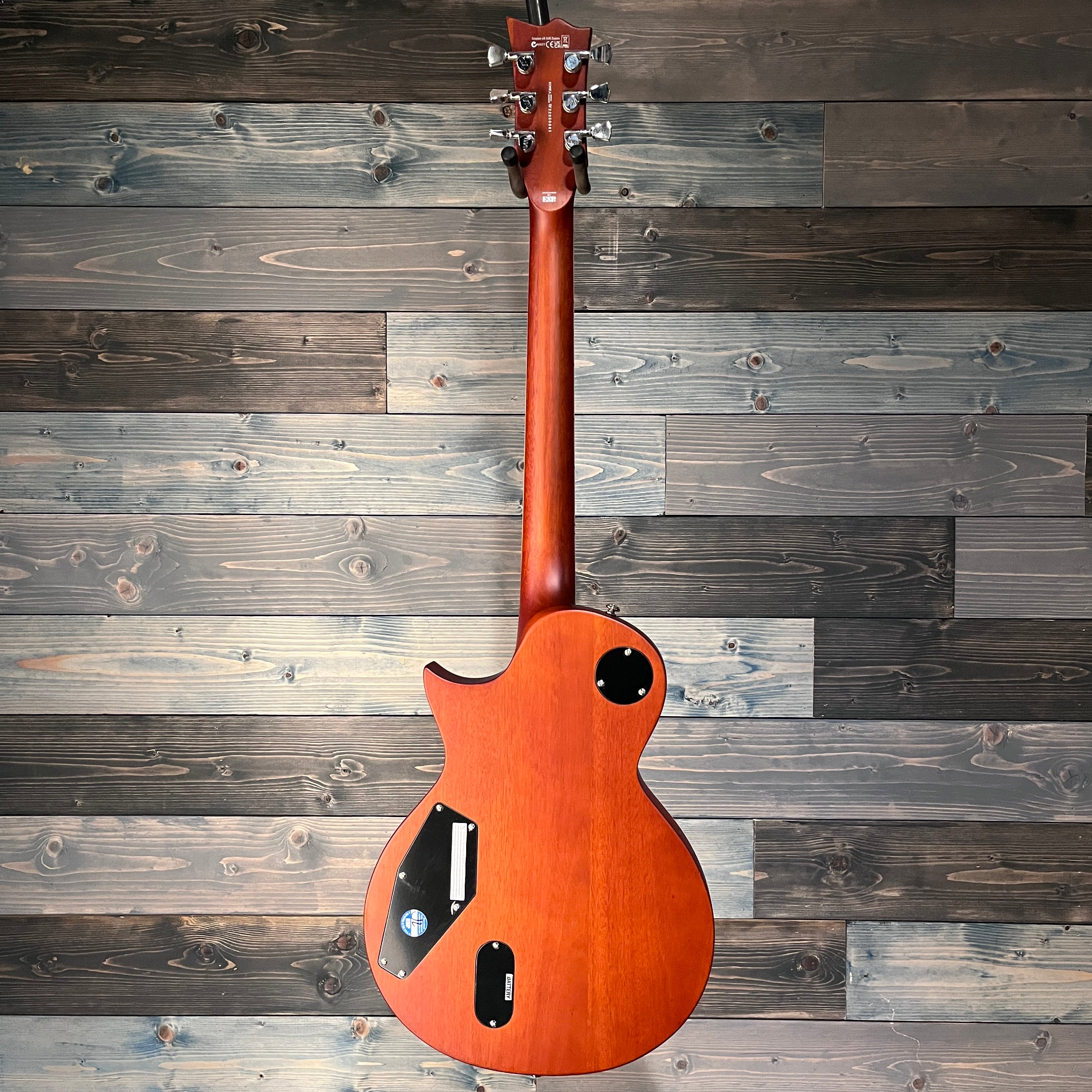 ESP LTD EC-1000T Flamed Maple - Honey Burst Satin w/Fishman Fluence