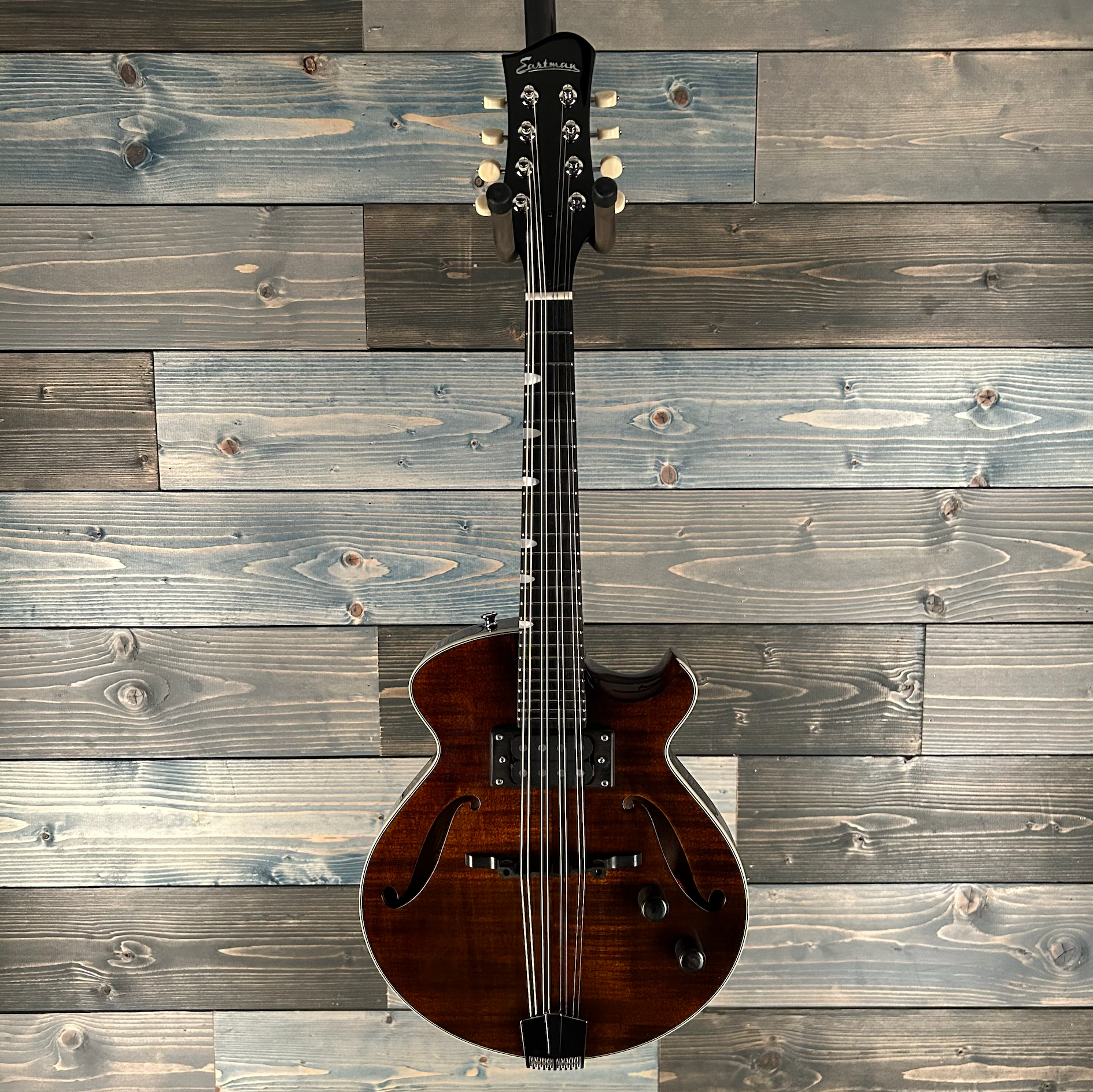 Eastman ERM El Rey Electric Mandolin