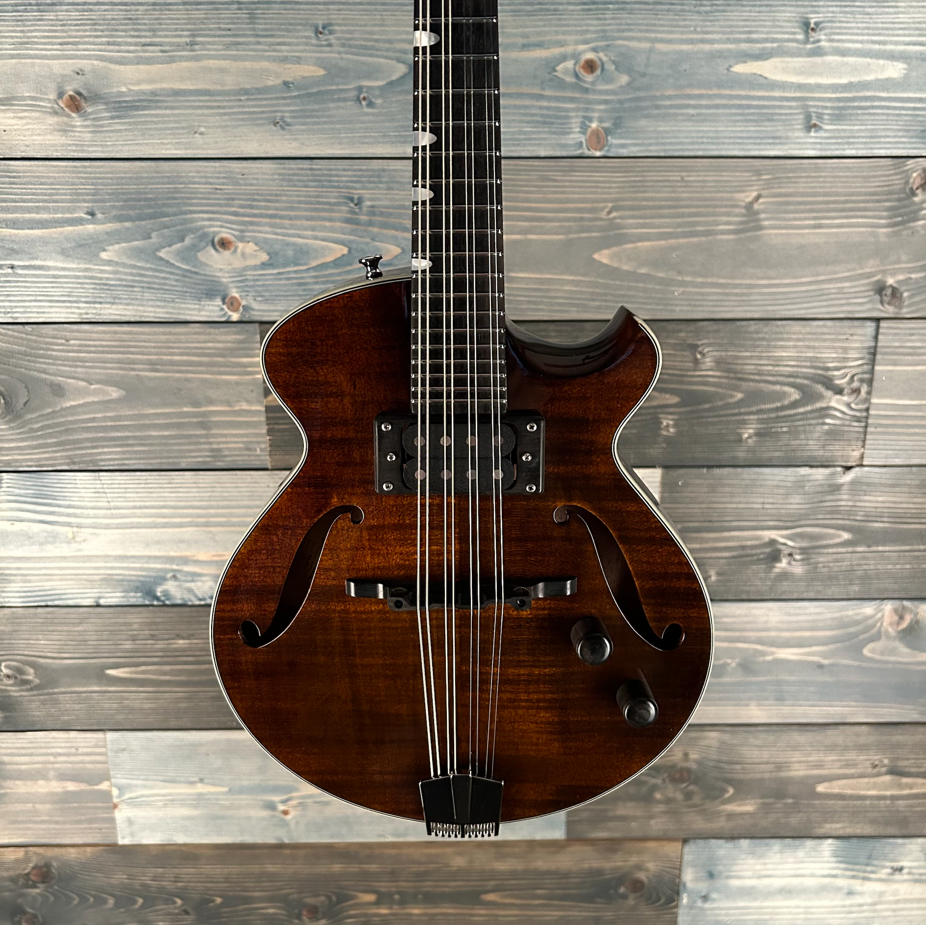 Eastman ERM El Rey Electric Mandolin
