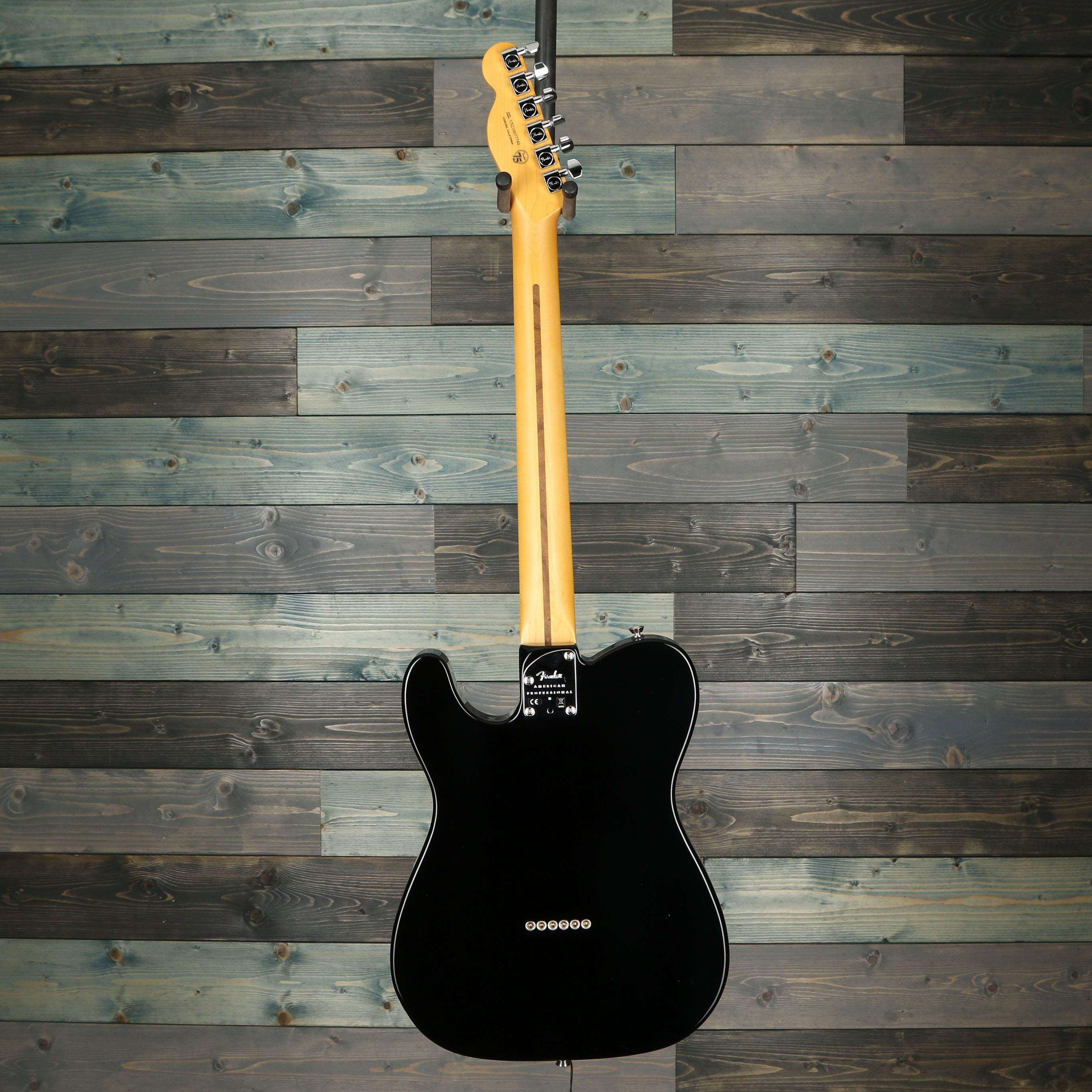 Fender American Professional II Telecaster, Maple Fingerboard, Black