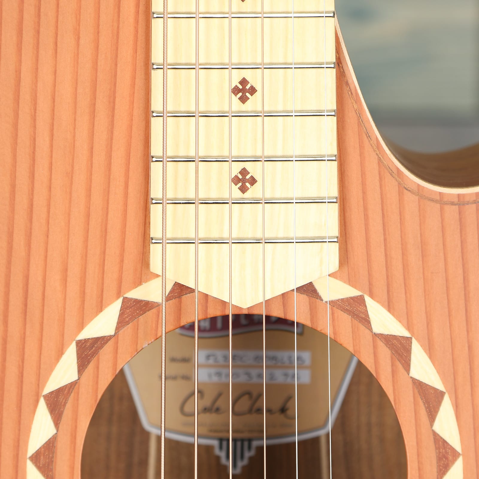 Cole Clark Fat Lady 2 Series FL2EC-RDBLSB Acoustic - Redwood/Blackwood