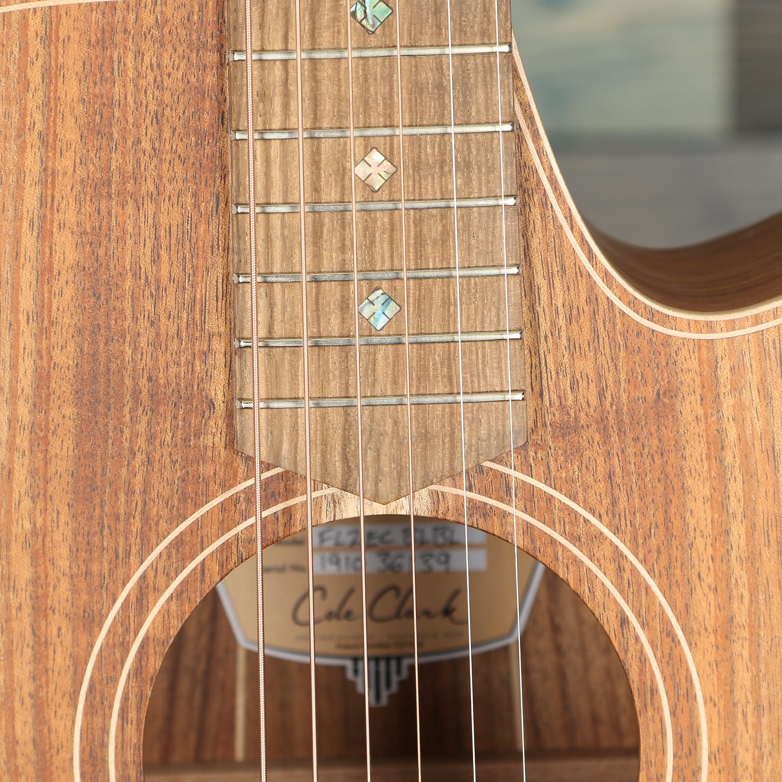 Cole Clark Fat Lady 2 Series FL2EC-BLBL Acoustic - Blackwood/Blackwood