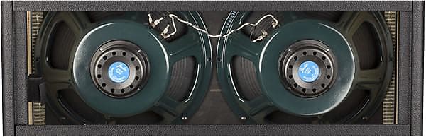 Fender Tone Master Twin Reverb Amp, 120V