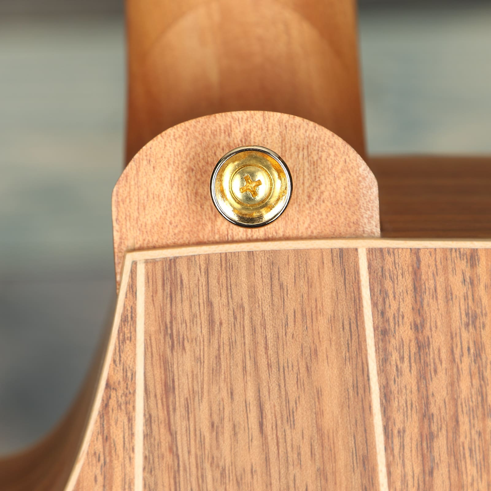 Cole Clark Fat Lady 2 Series FL2EC-BLBL Acoustic - Blackwood/Blackwood